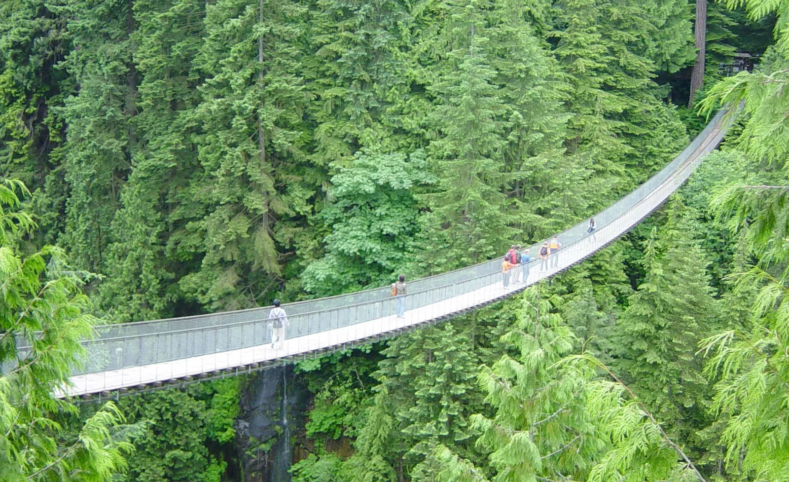 Capilano Suspension Bridge Park