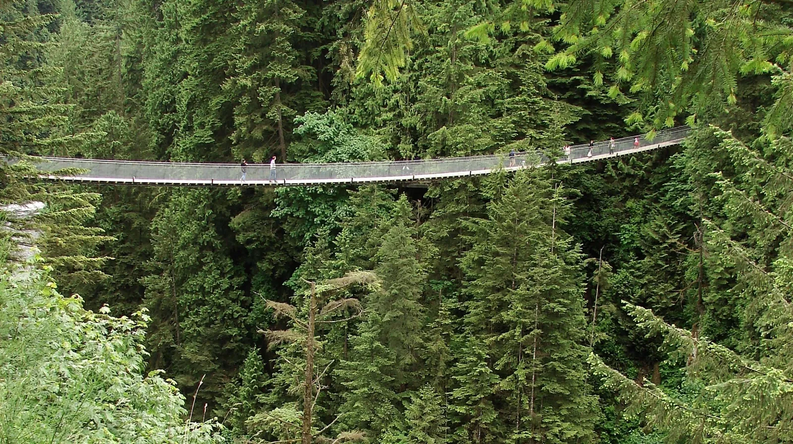 Capilano Suspension Bridge