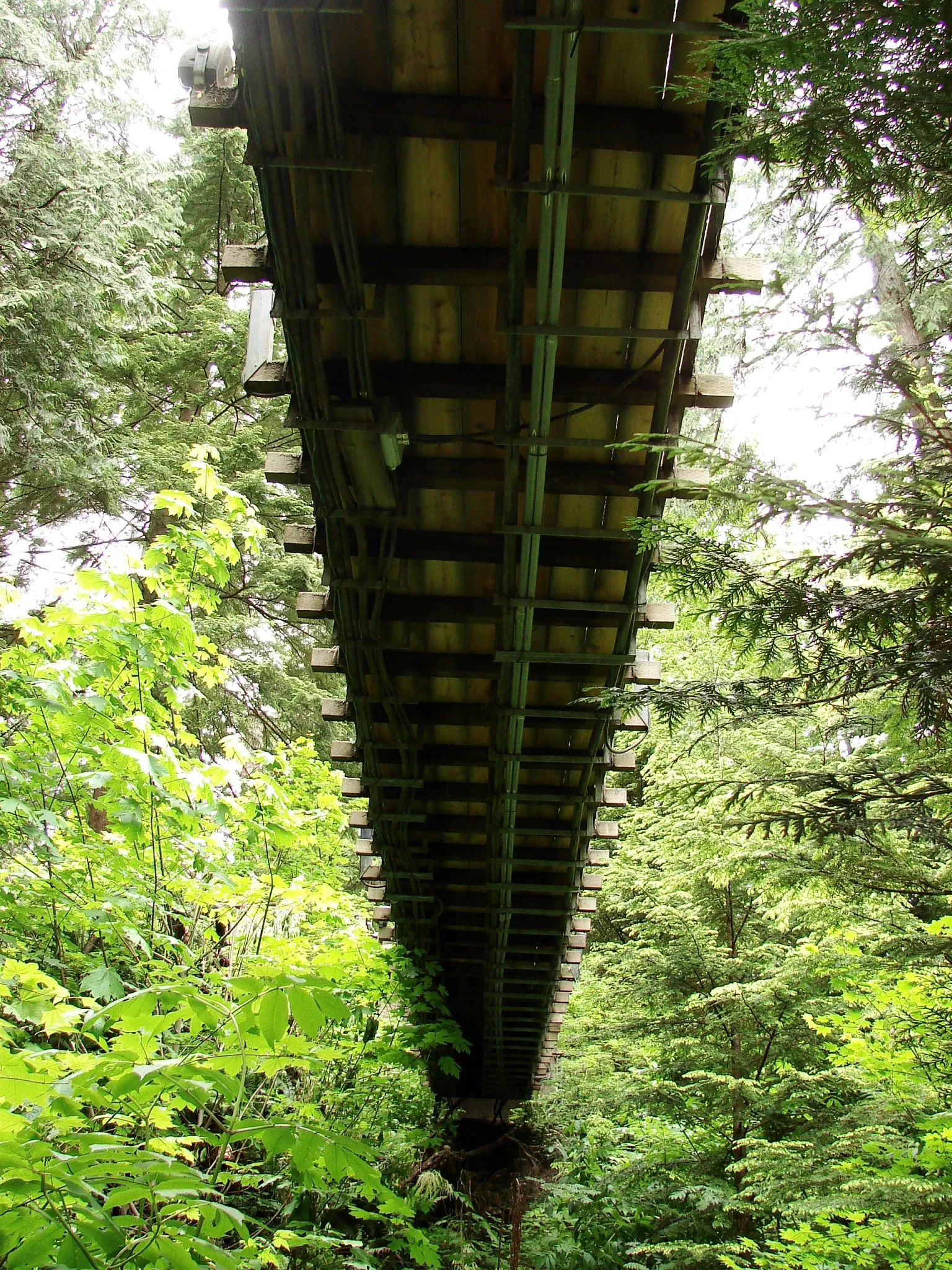 Capilano Suspension Bridge