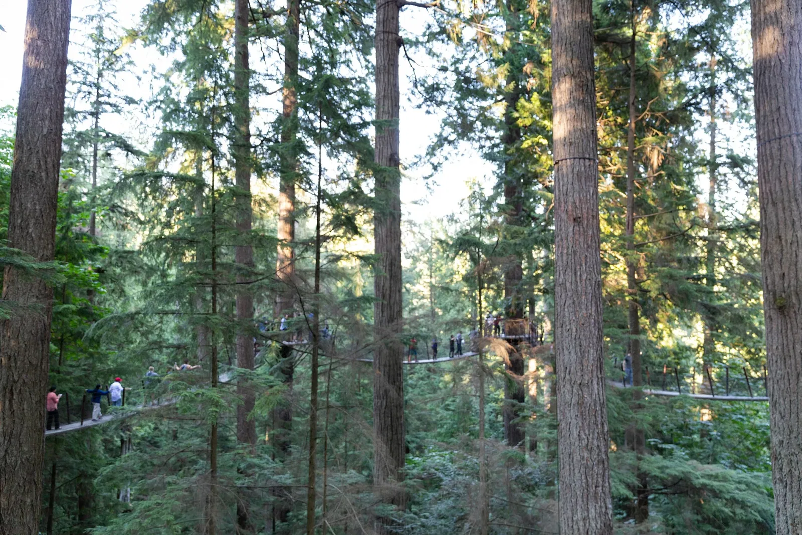 Pont suspendu de Capilano