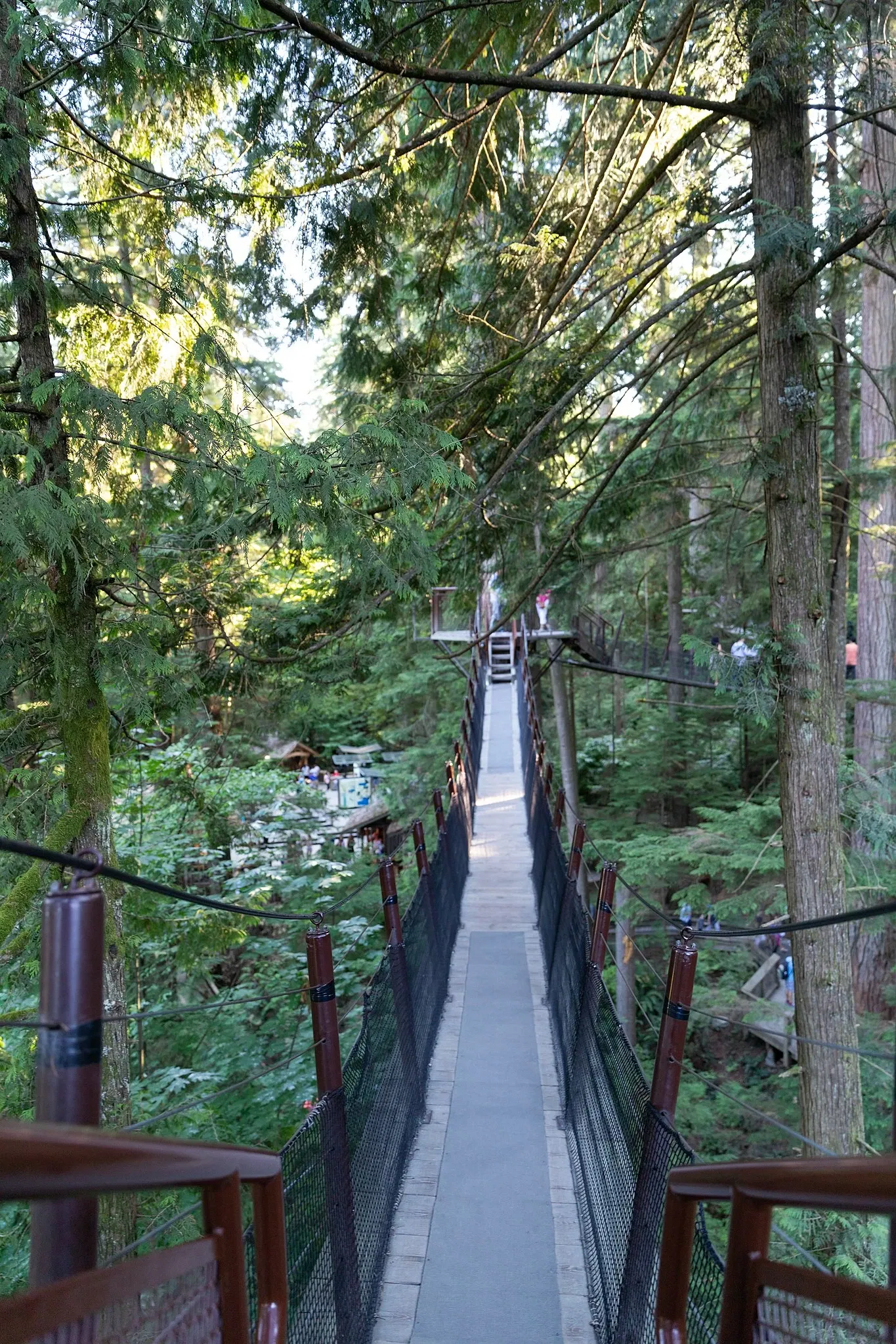 Capilano Suspension Bridge Park