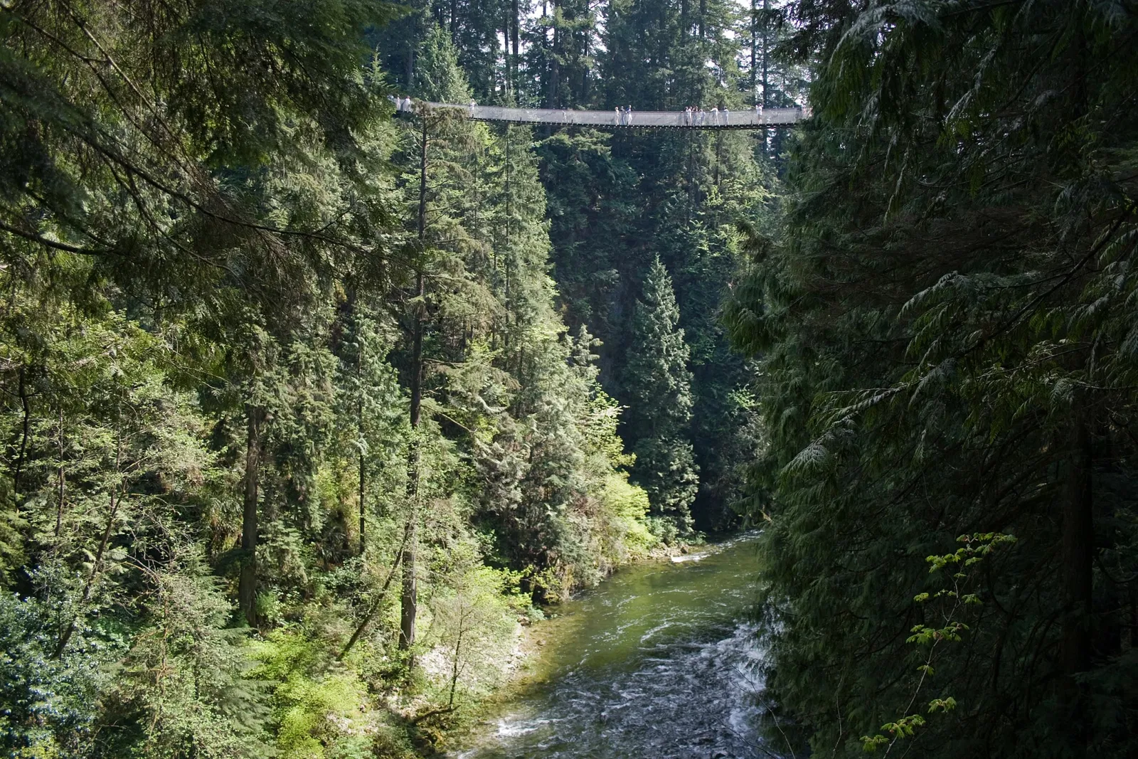 Puente colgante de Capilano