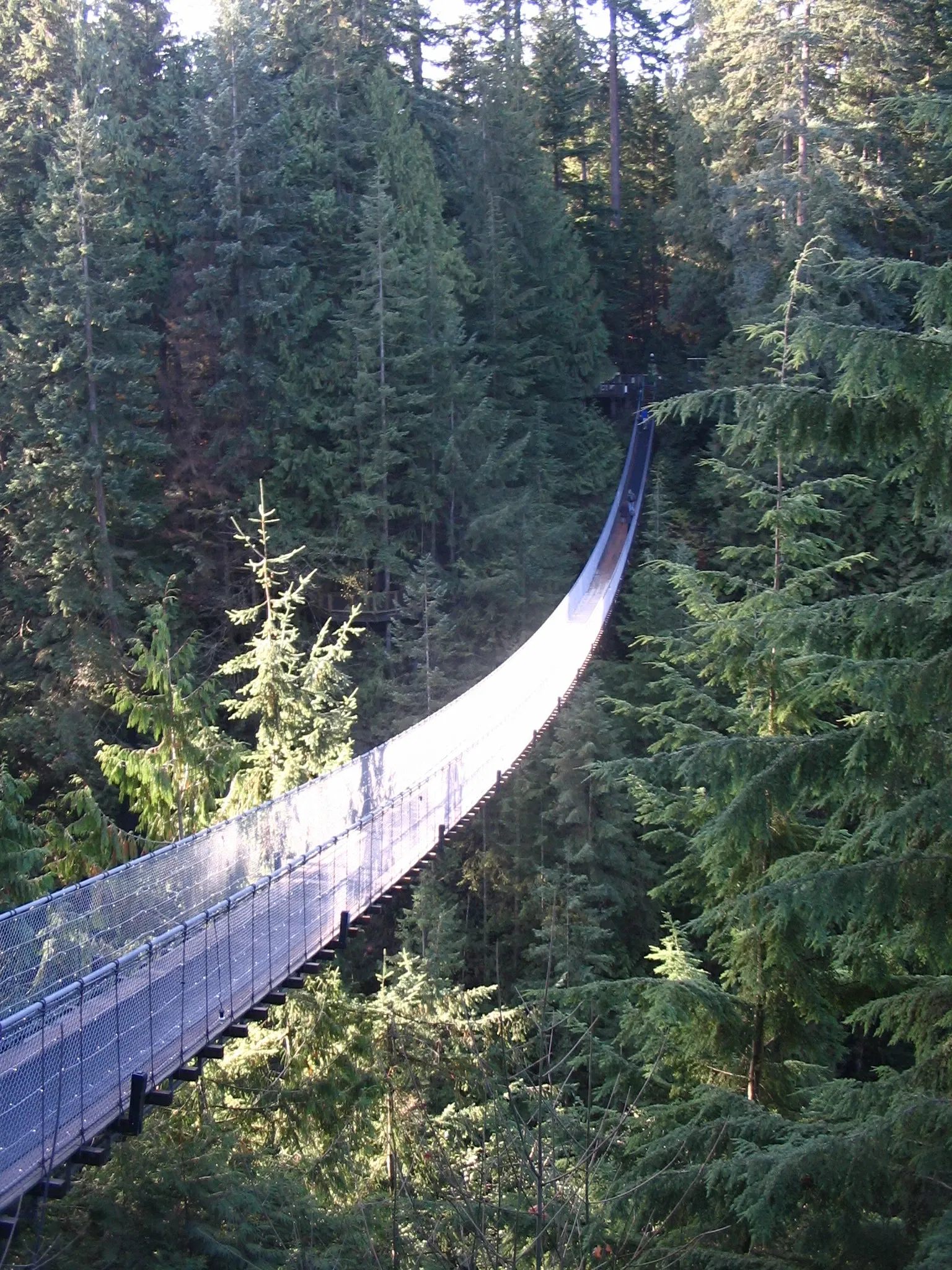 Capilano Suspension Bridge Park