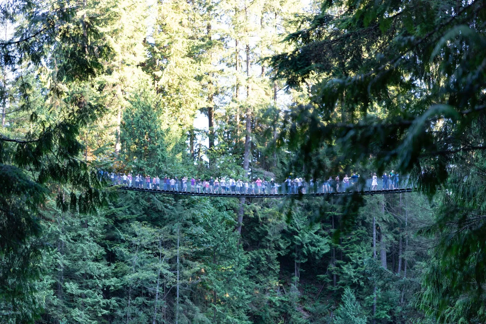 Puente colgante de Capilano