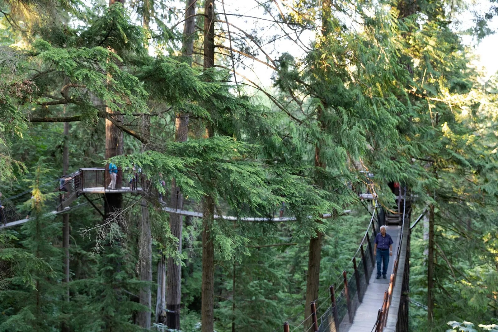 Pont suspendu de Capilano