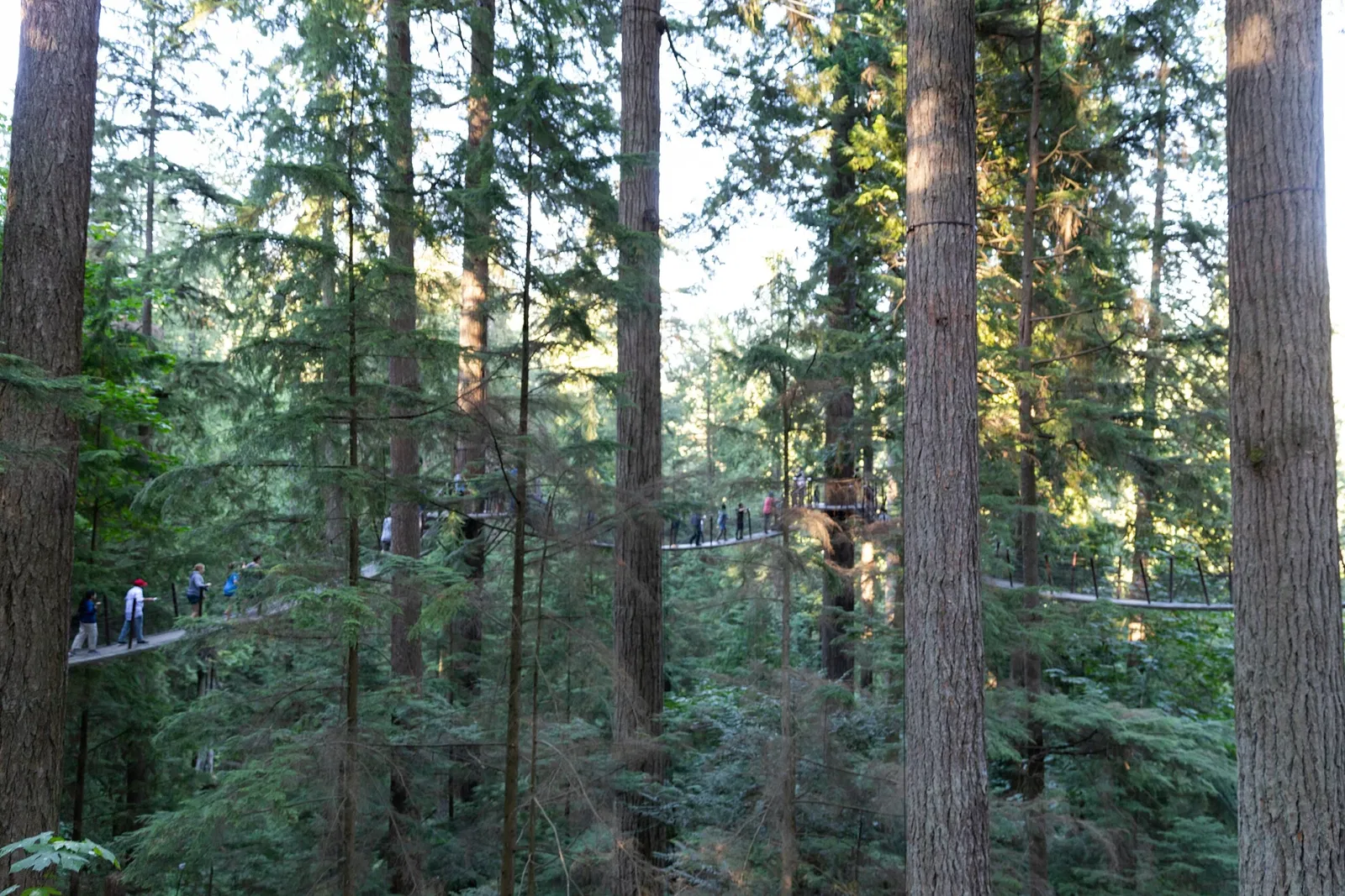Puente colgante de Capilano
