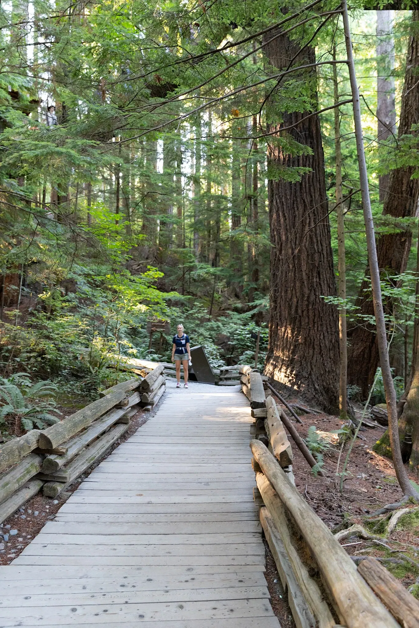 Pont suspendu de Capilano