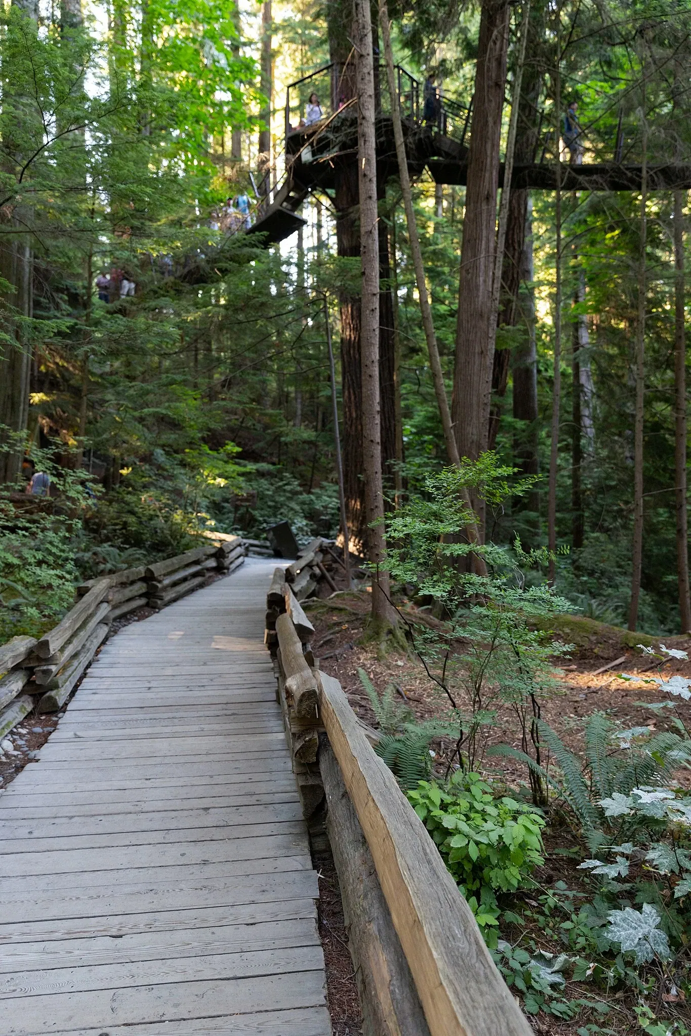 Capilano Suspension Bridge Park