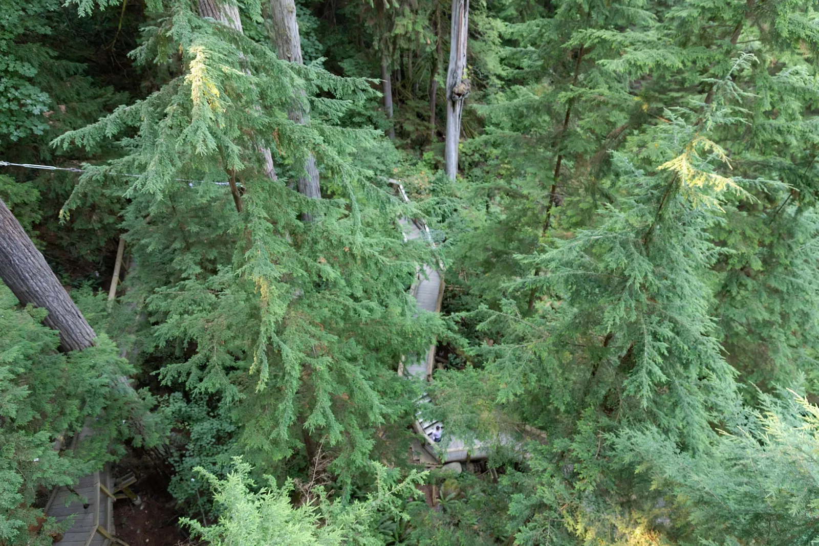 Capilano Suspension Bridge