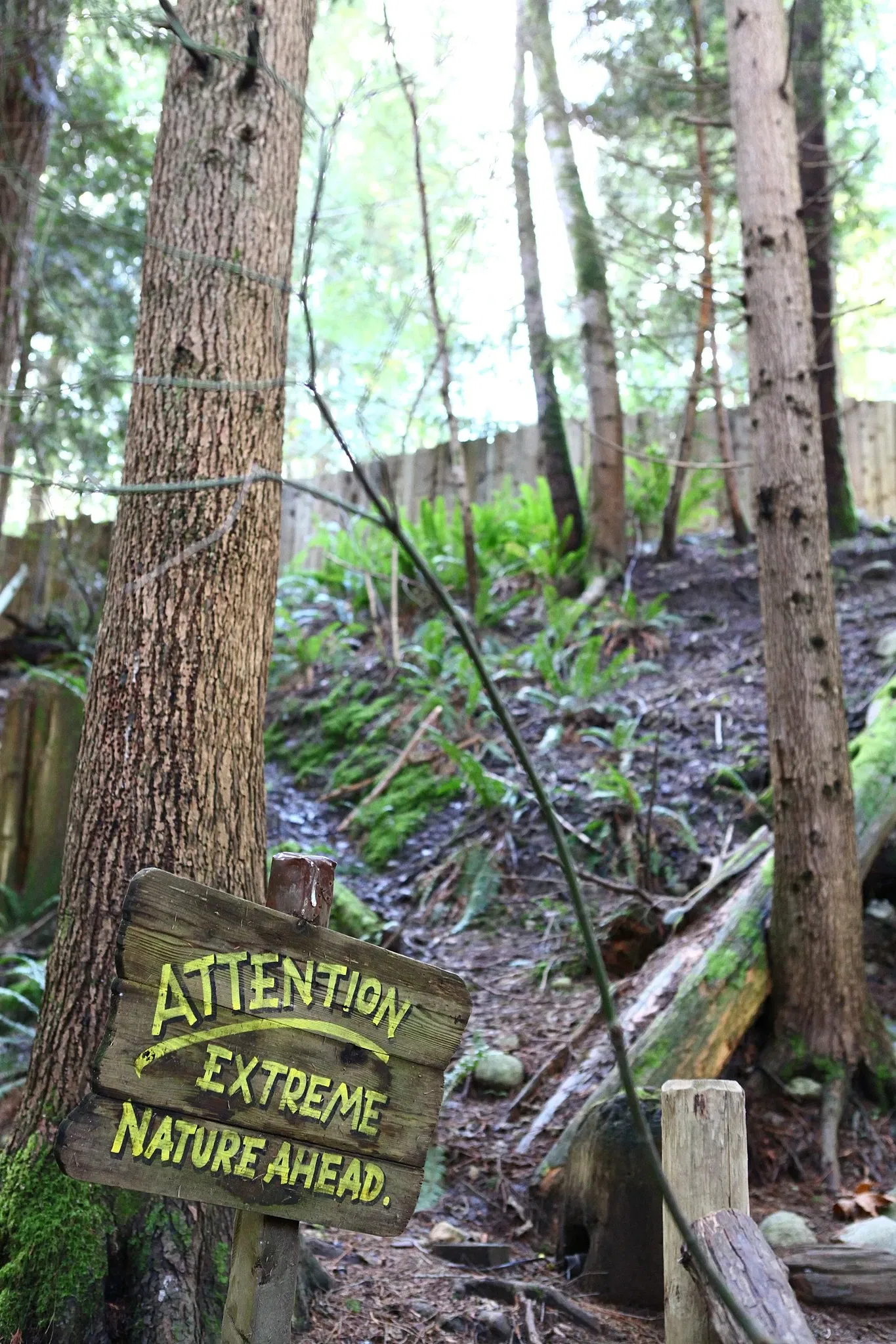 Capilano Suspension Bridge Park