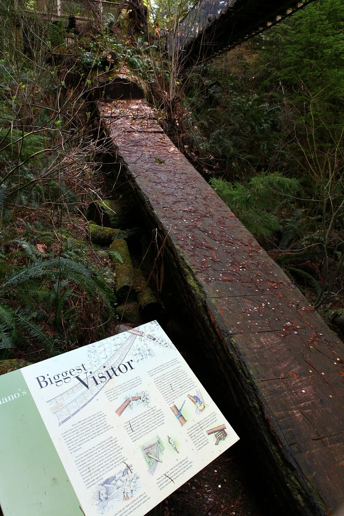 Capilano Suspension Bridge Park