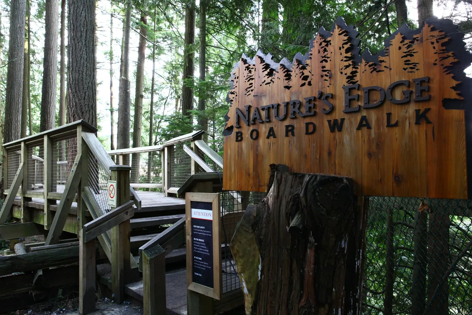 Capilano Suspension Bridge Park