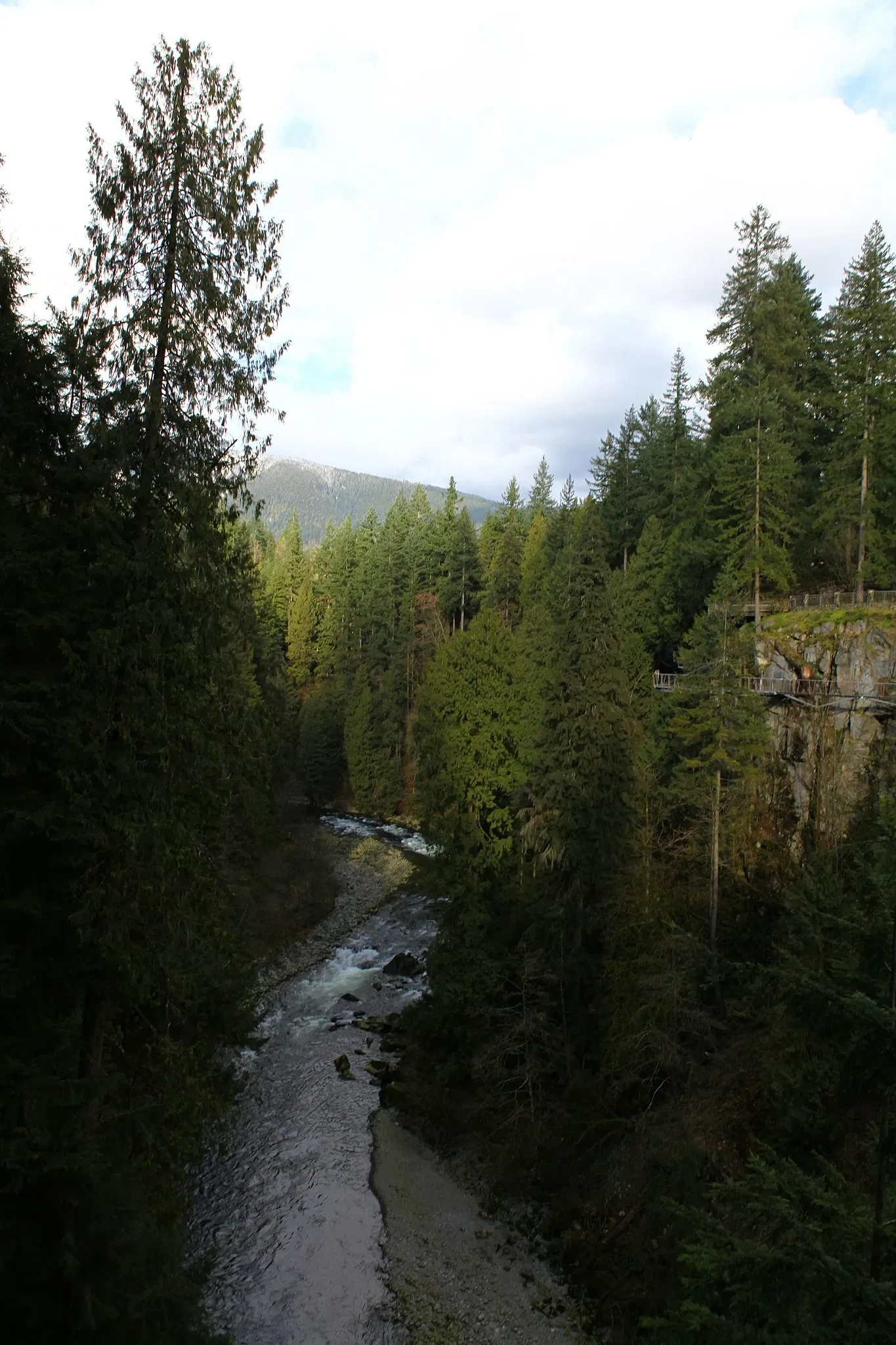 Puente colgante de Capilano