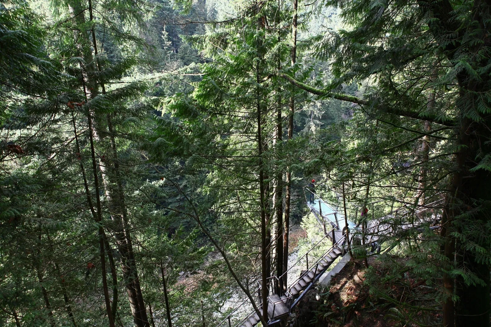 Capilano Suspension Bridge Park