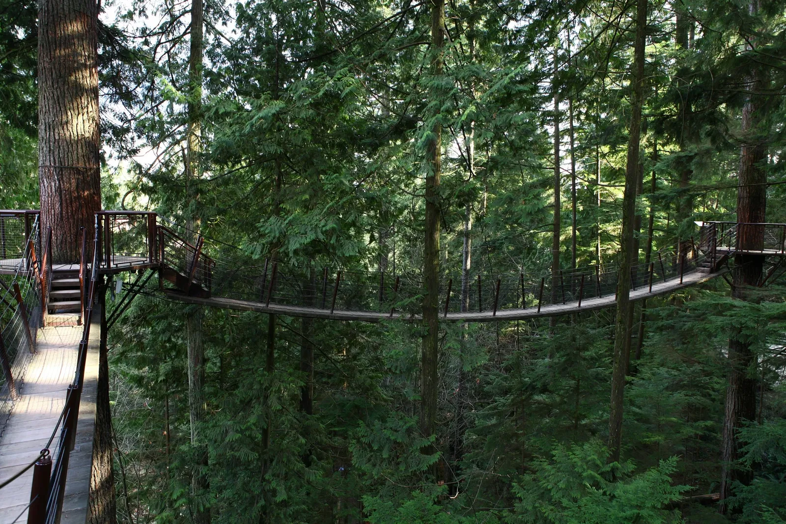 Capilano Suspension Bridge
