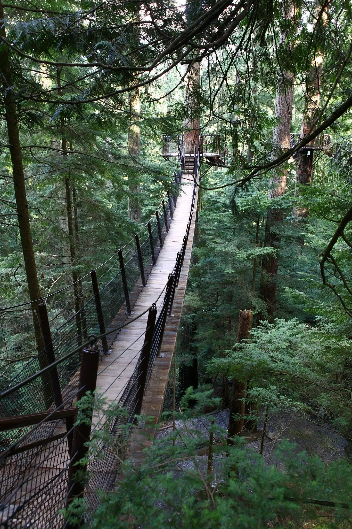 Capilano Suspension Bridge Park