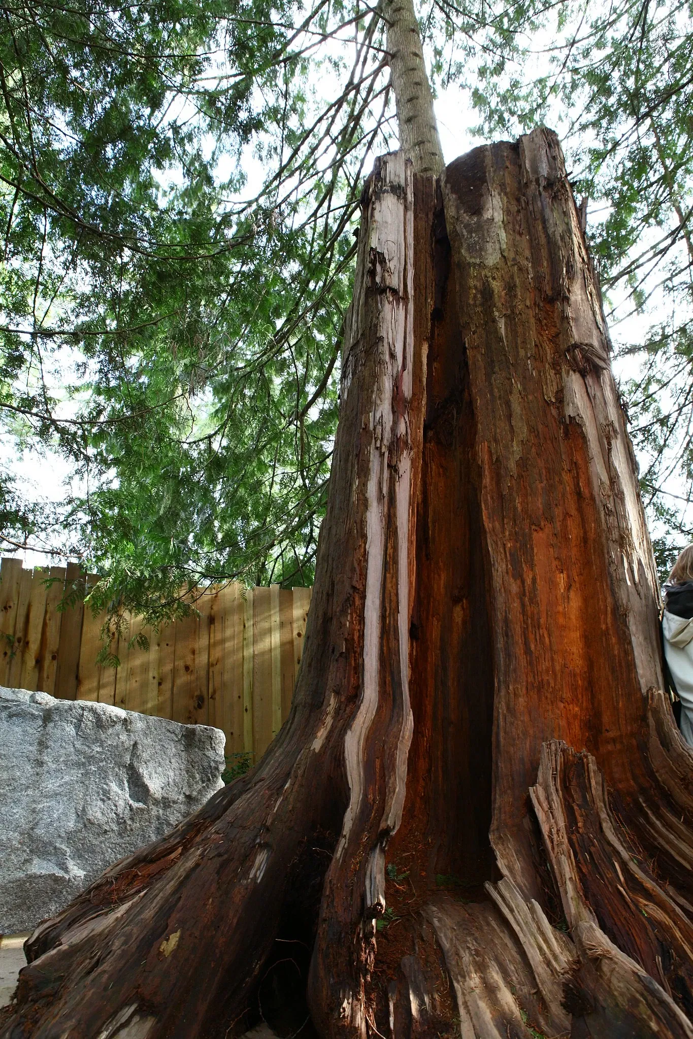 Capilano Suspension Bridge Park
