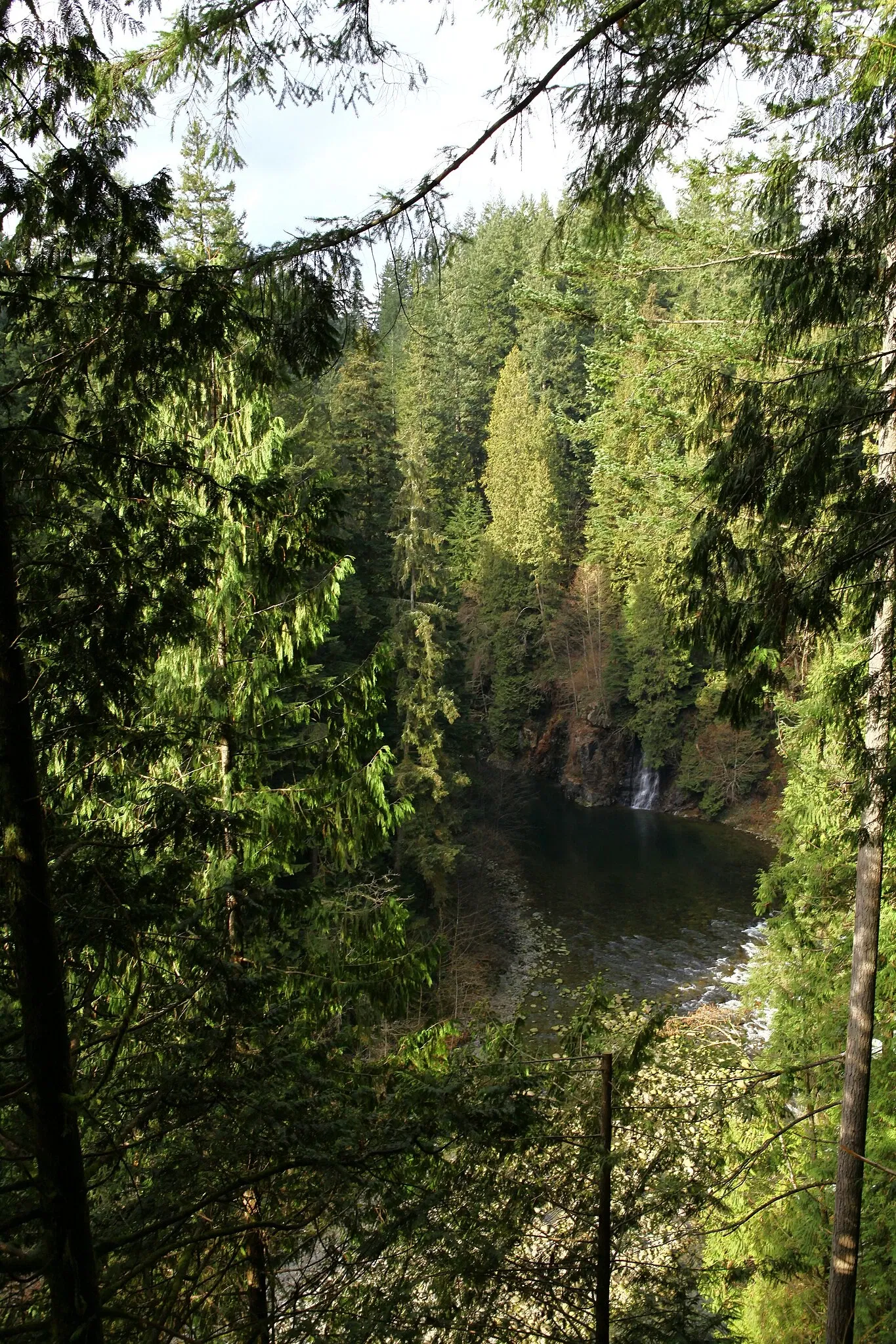 Puente colgante de Capilano