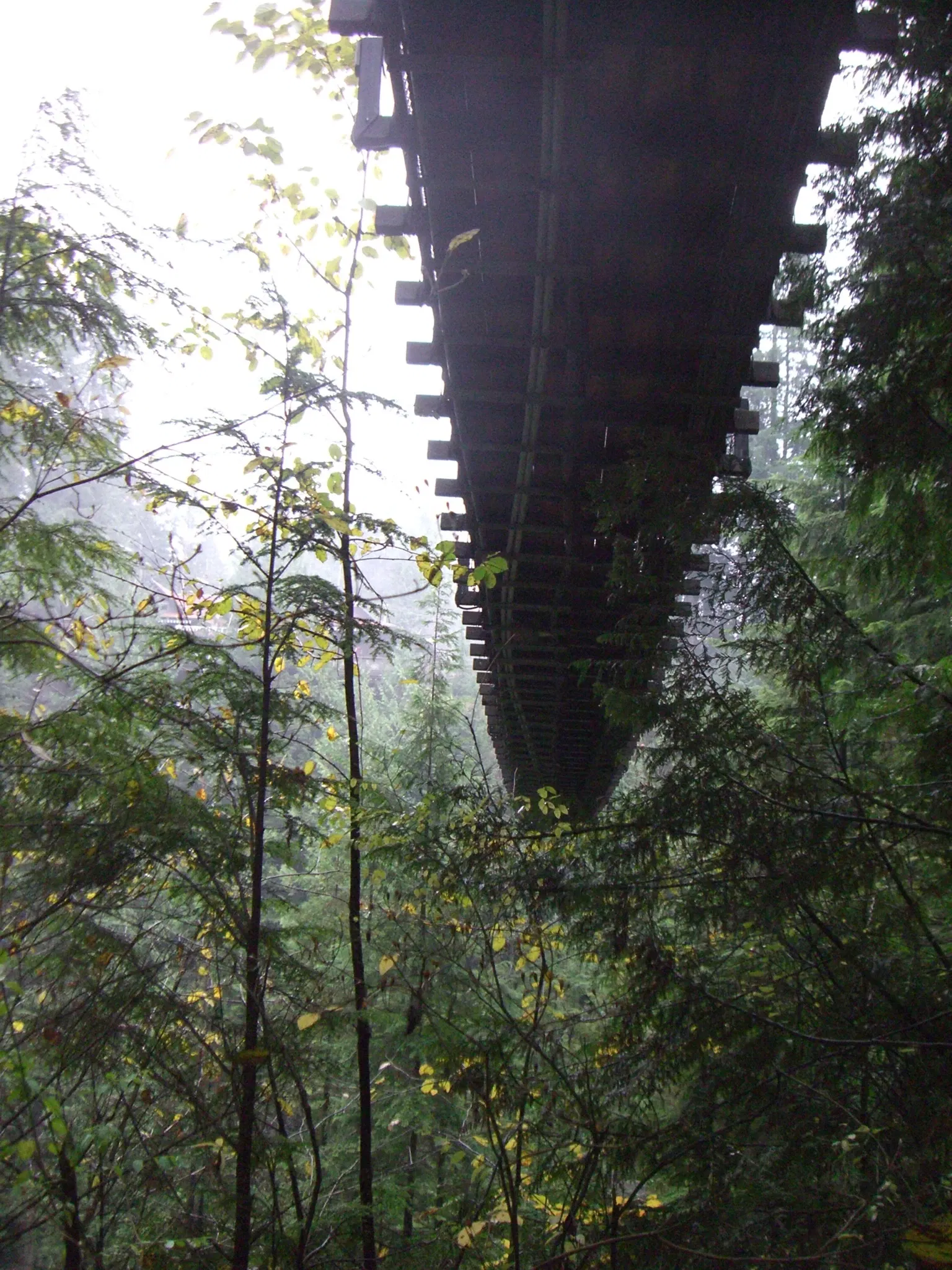 Capilano Suspension Bridge Park