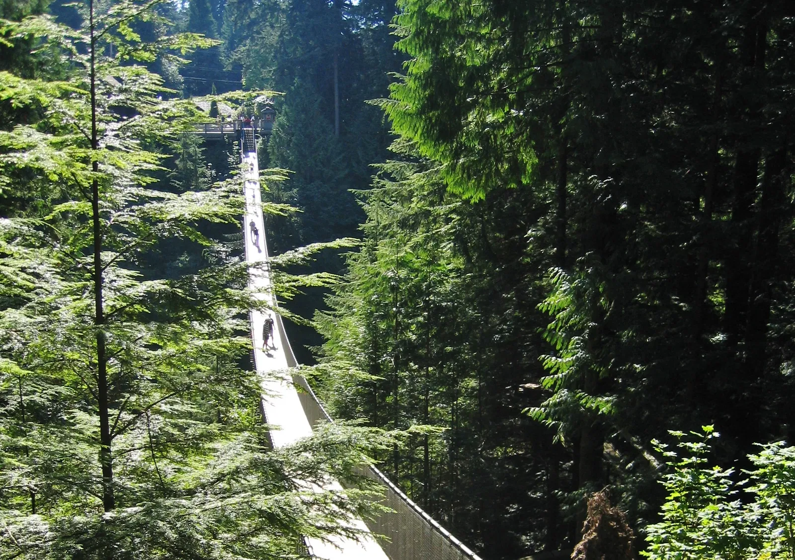 Puente colgante de Capilano