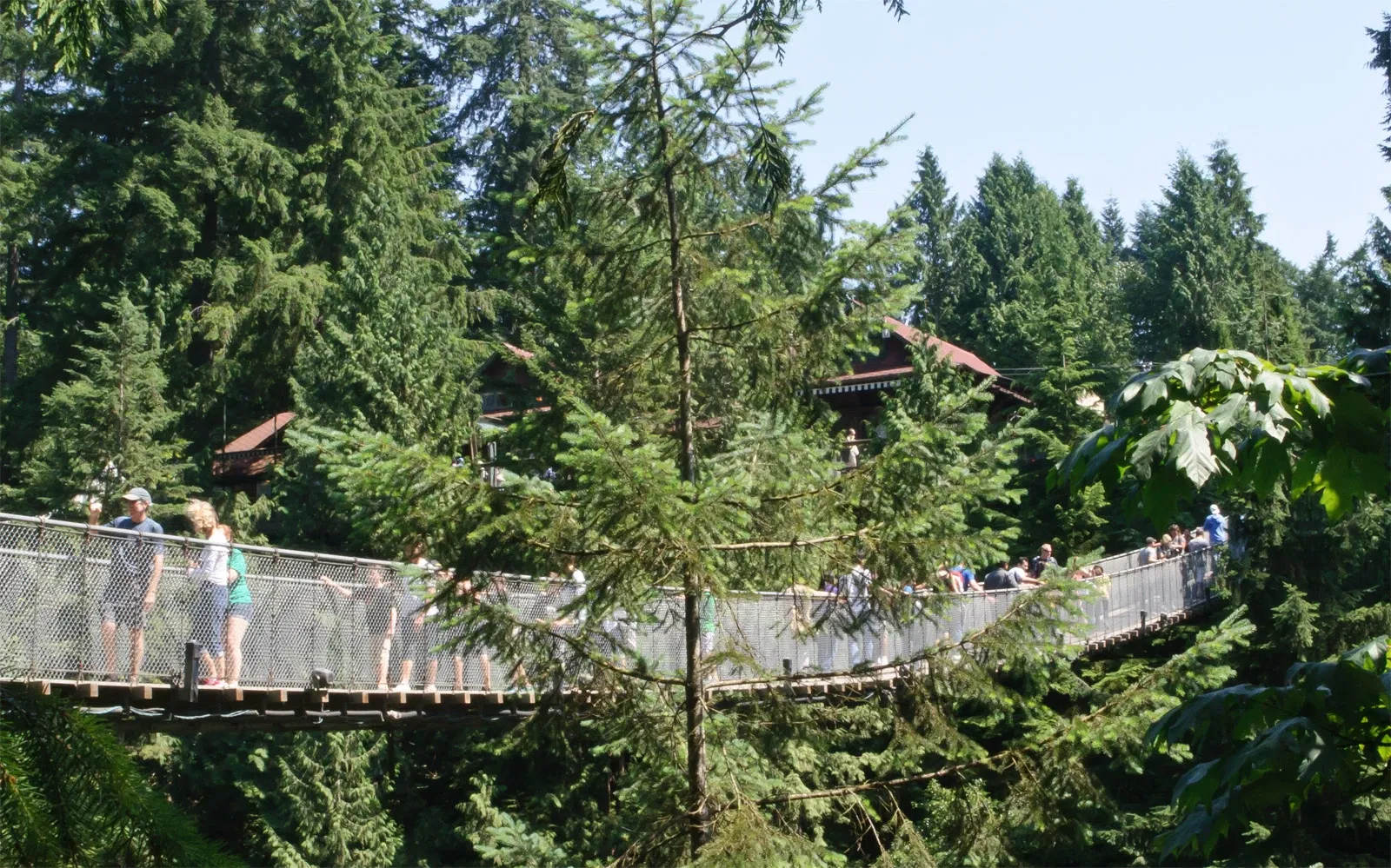 Capilano Suspension Bridge