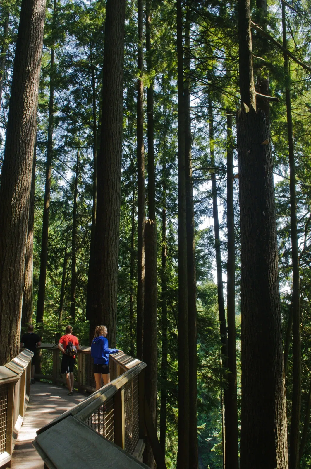 Capilano Suspension Bridge