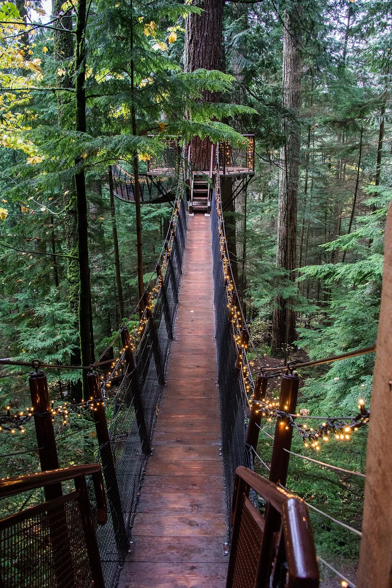 Puente colgante de Capilano
