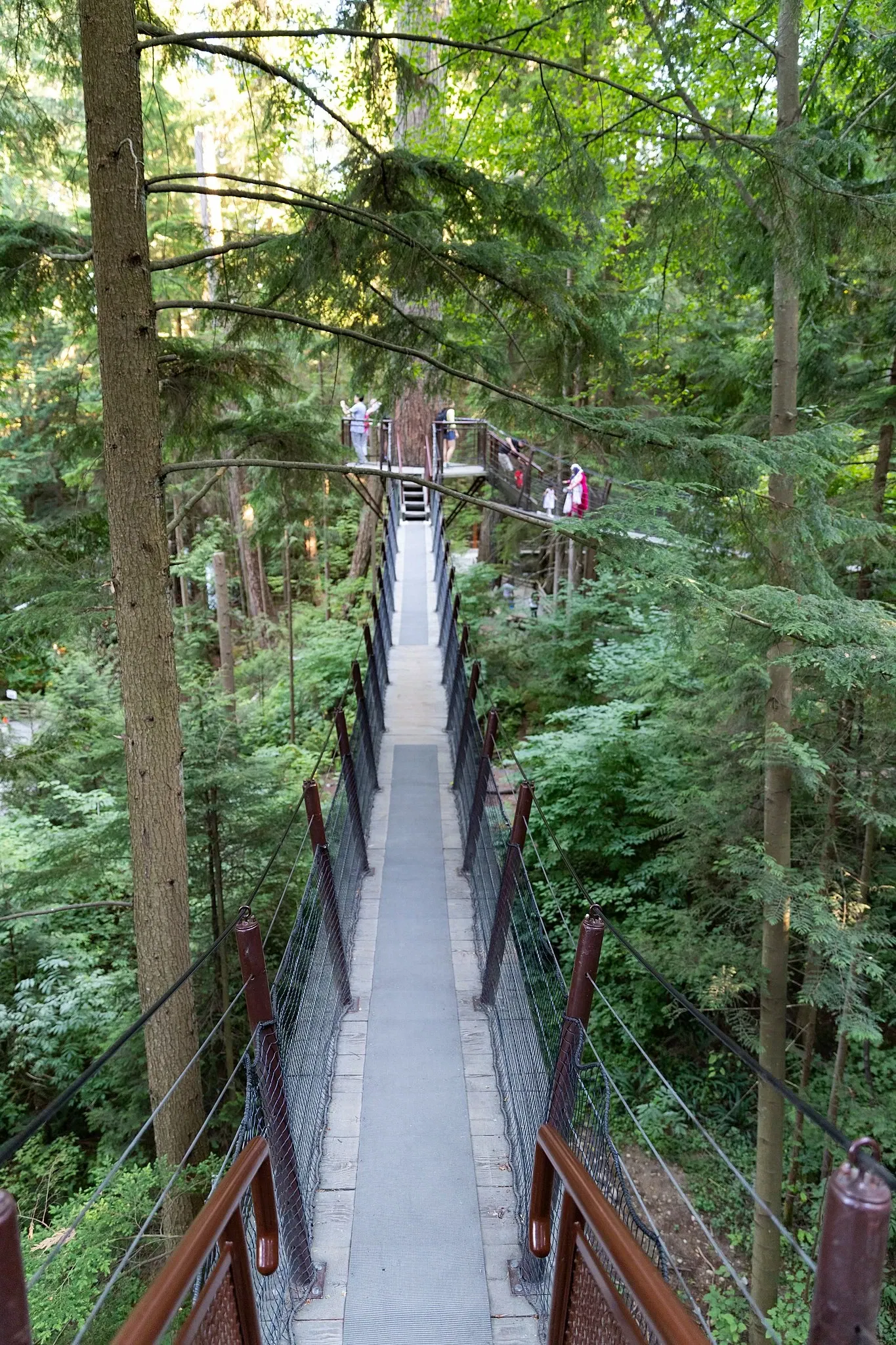 Puente colgante de Capilano