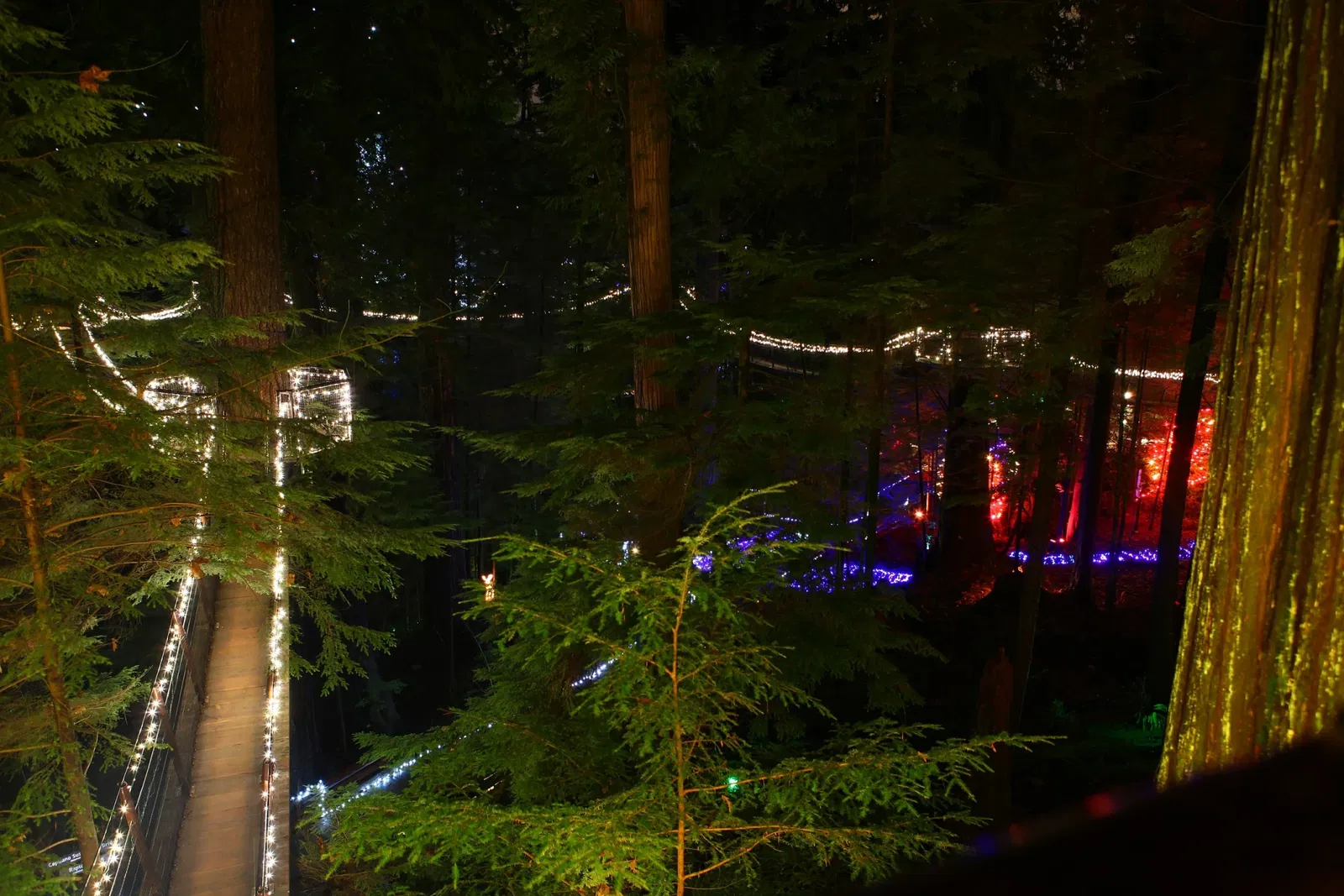 Puente colgante de Capilano