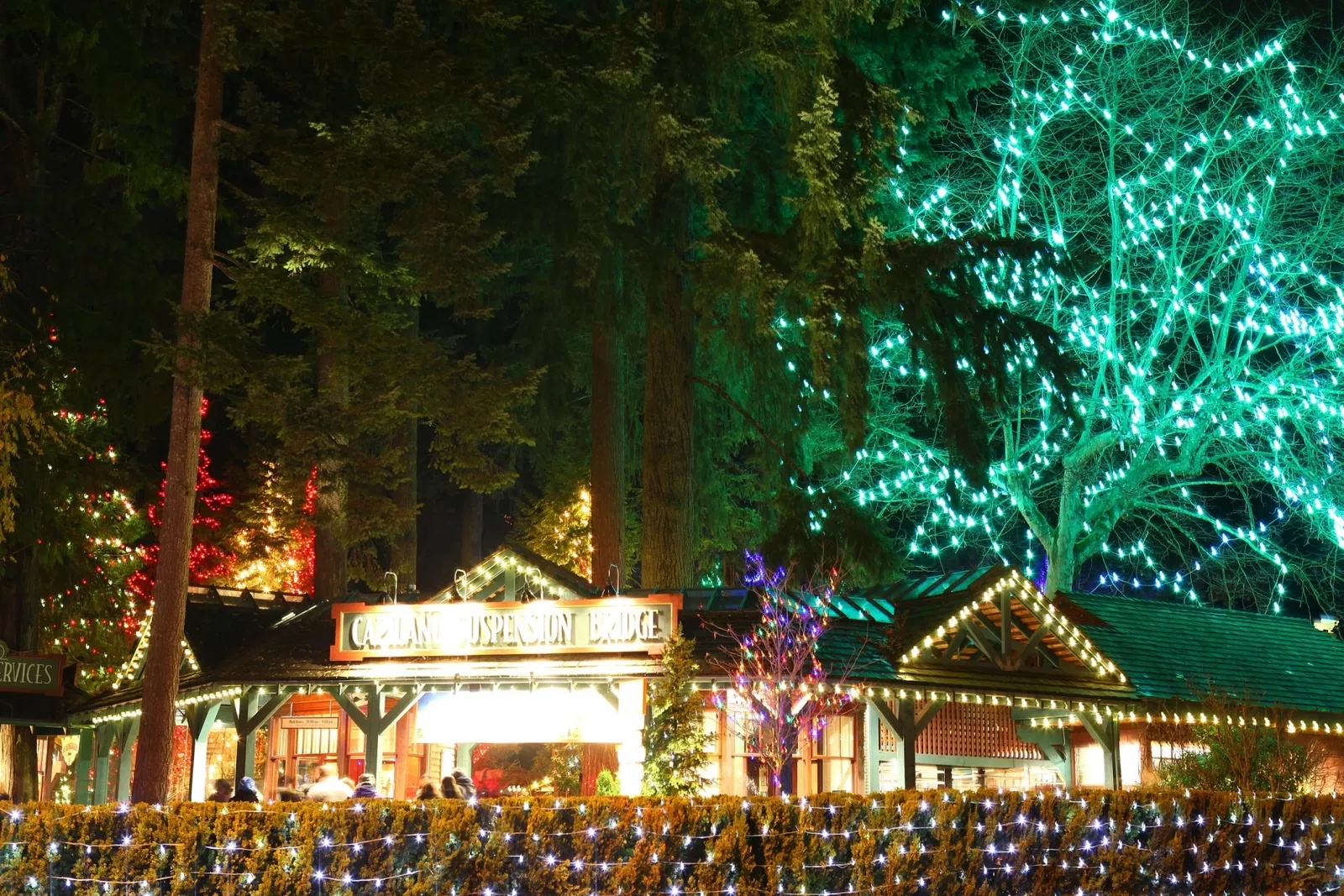 Capilano Suspension Bridge Park