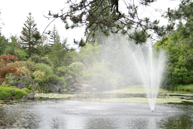 Beelden in de VanDusen Botanical Garden