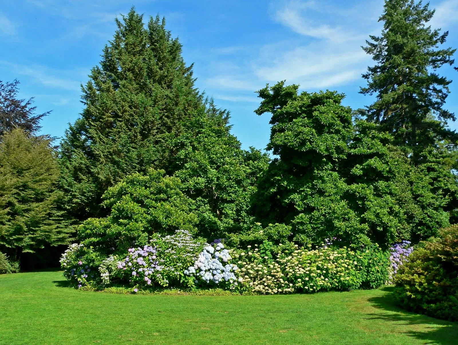 Beelden in de VanDusen Botanical Garden
