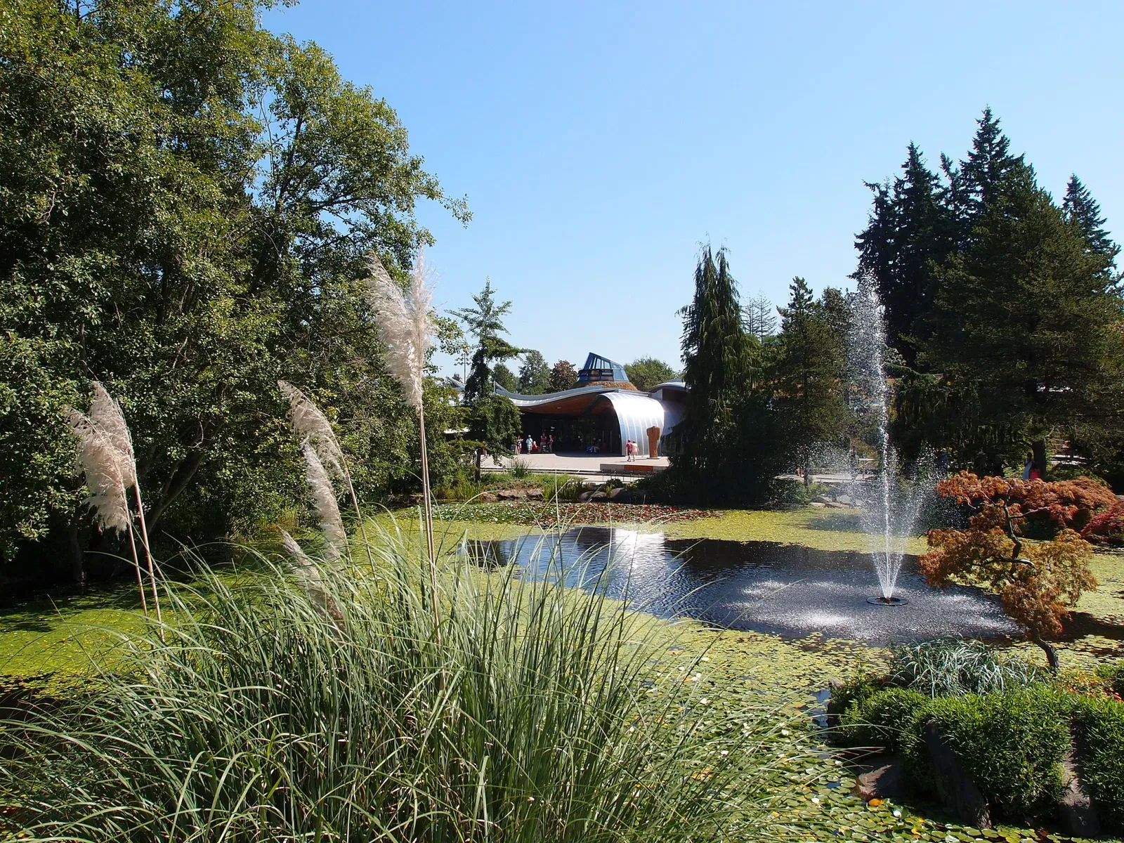 Beelden in de VanDusen Botanical Garden