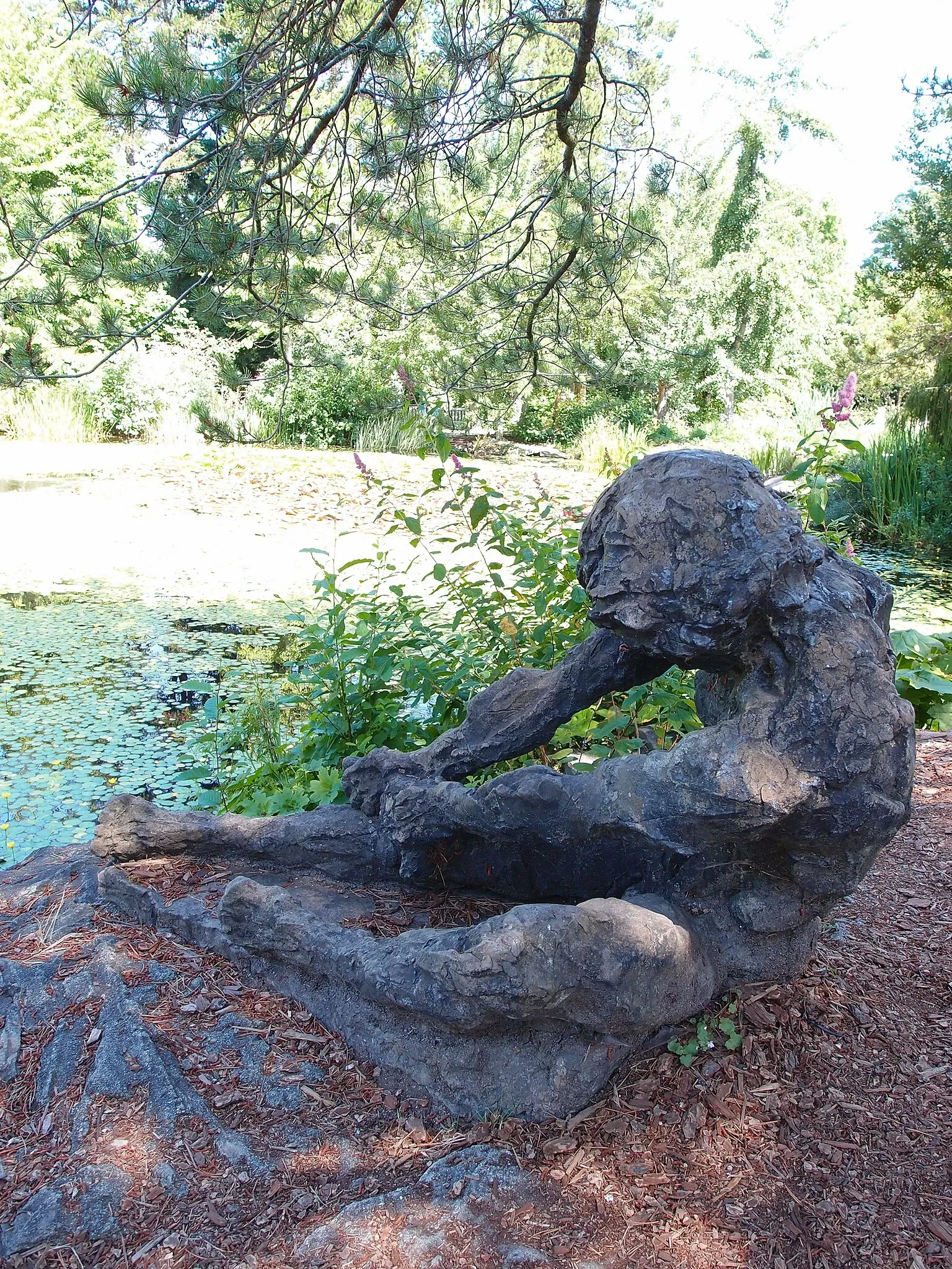 Beelden in de VanDusen Botanical Garden