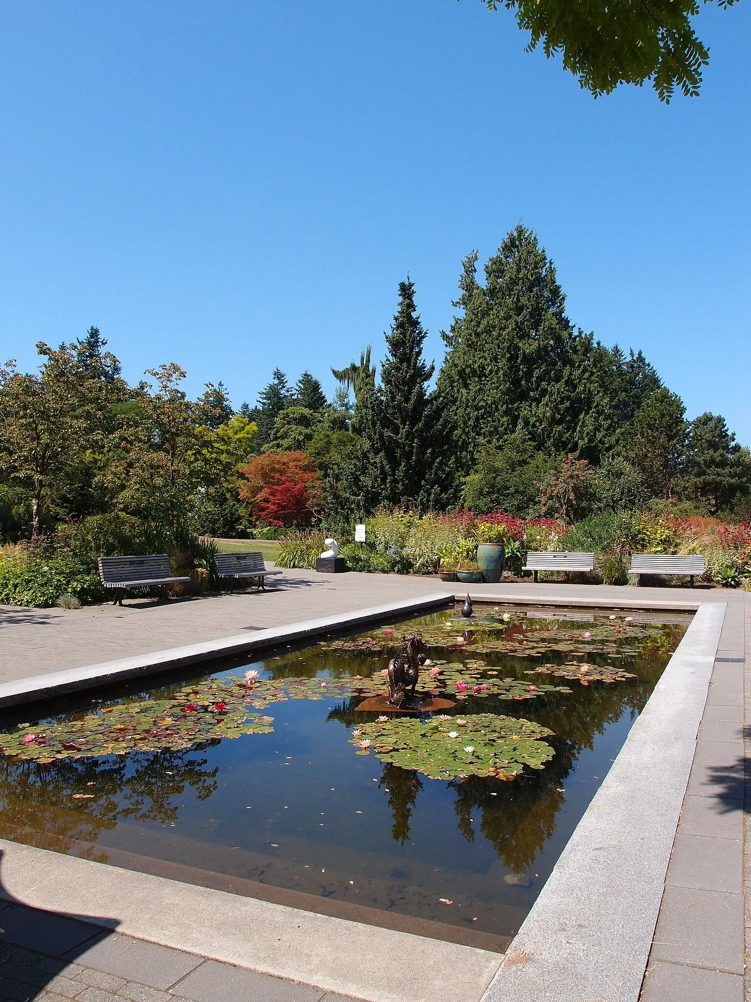 Beelden in de VanDusen Botanical Garden