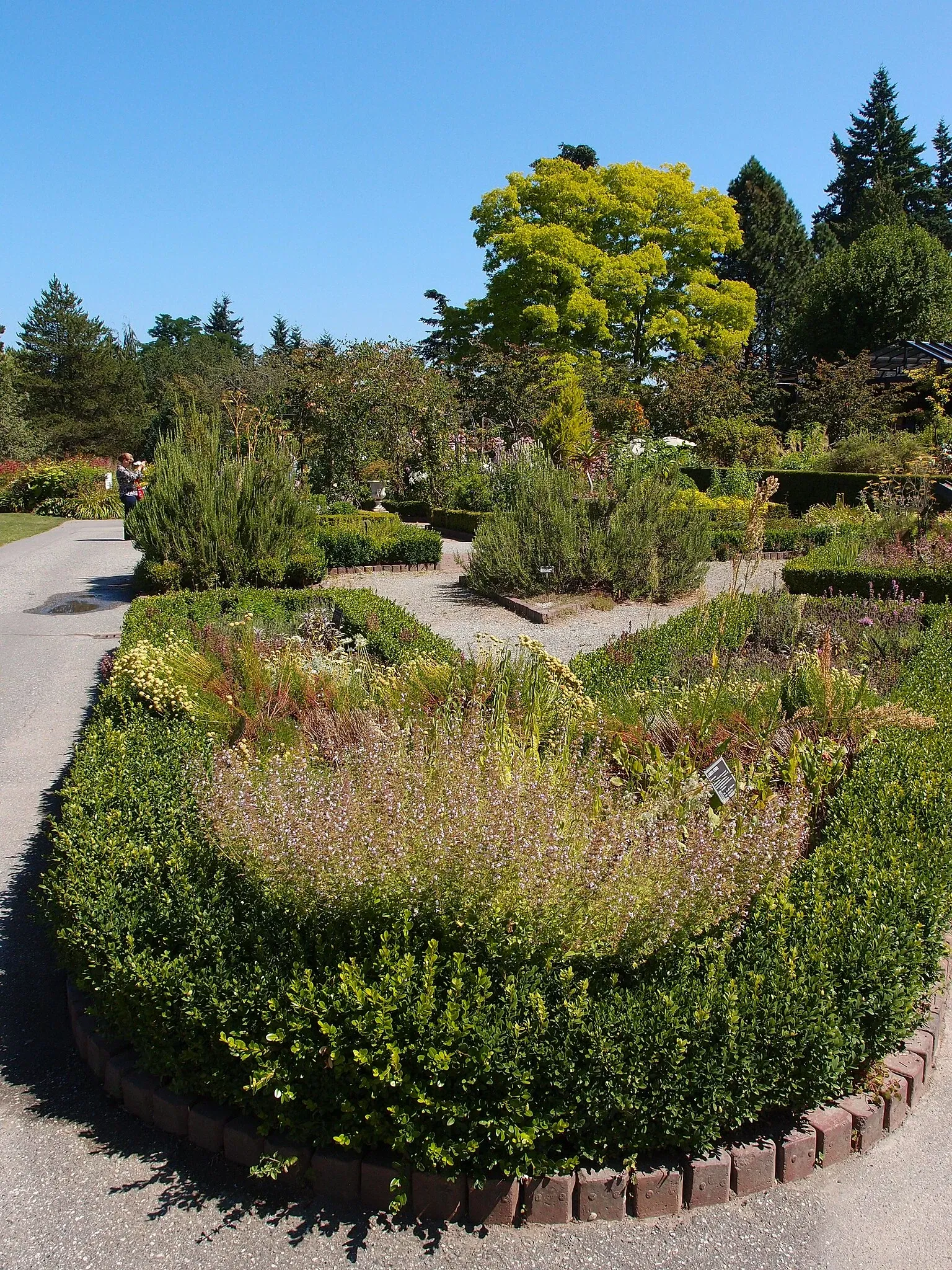 Beelden in de VanDusen Botanical Garden