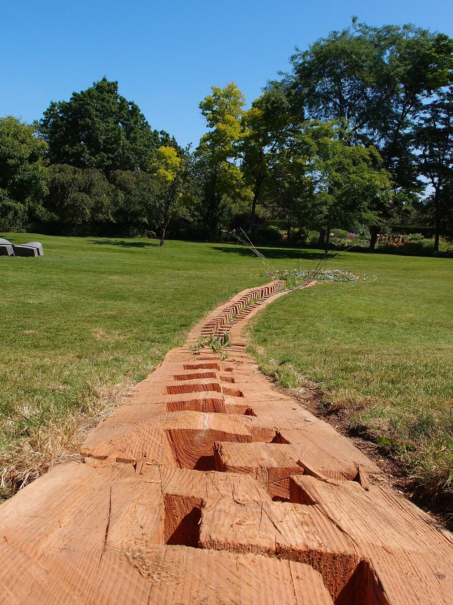 Beelden in de VanDusen Botanical Garden