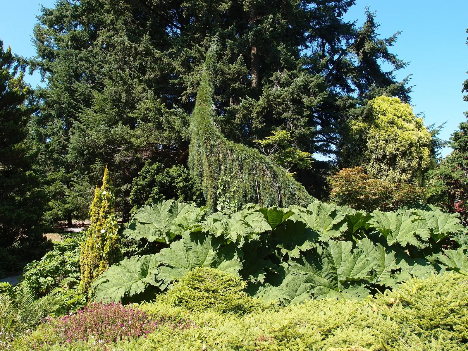 Beelden in de VanDusen Botanical Garden