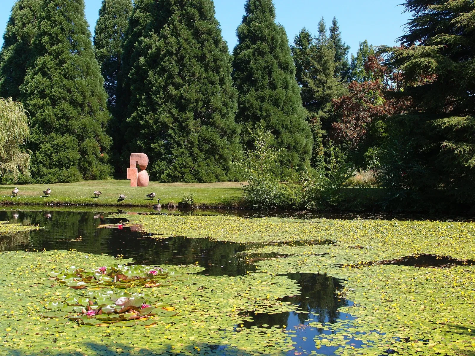 VanDusen Botanical Garden