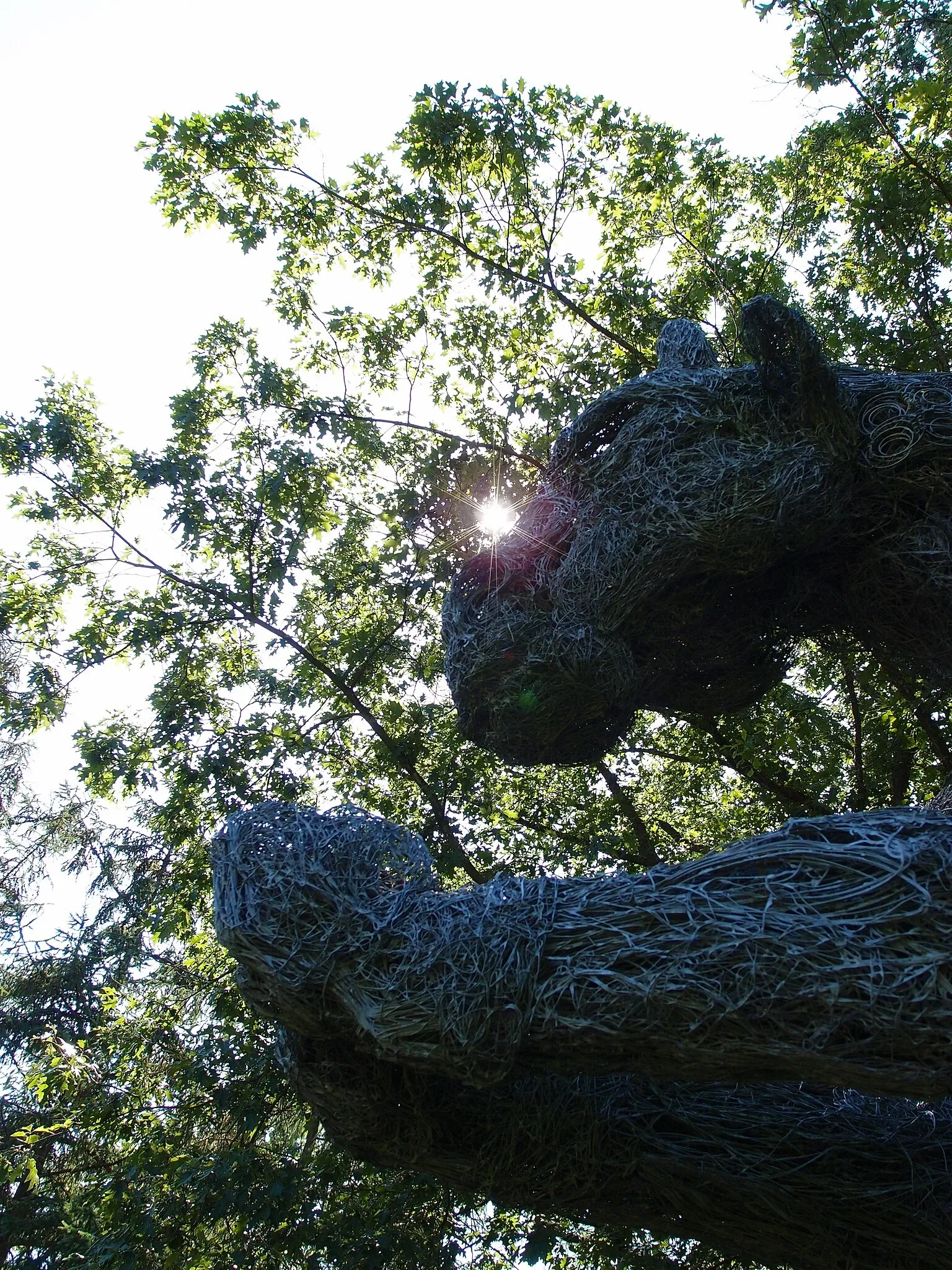 VanDusen Botanical Garden