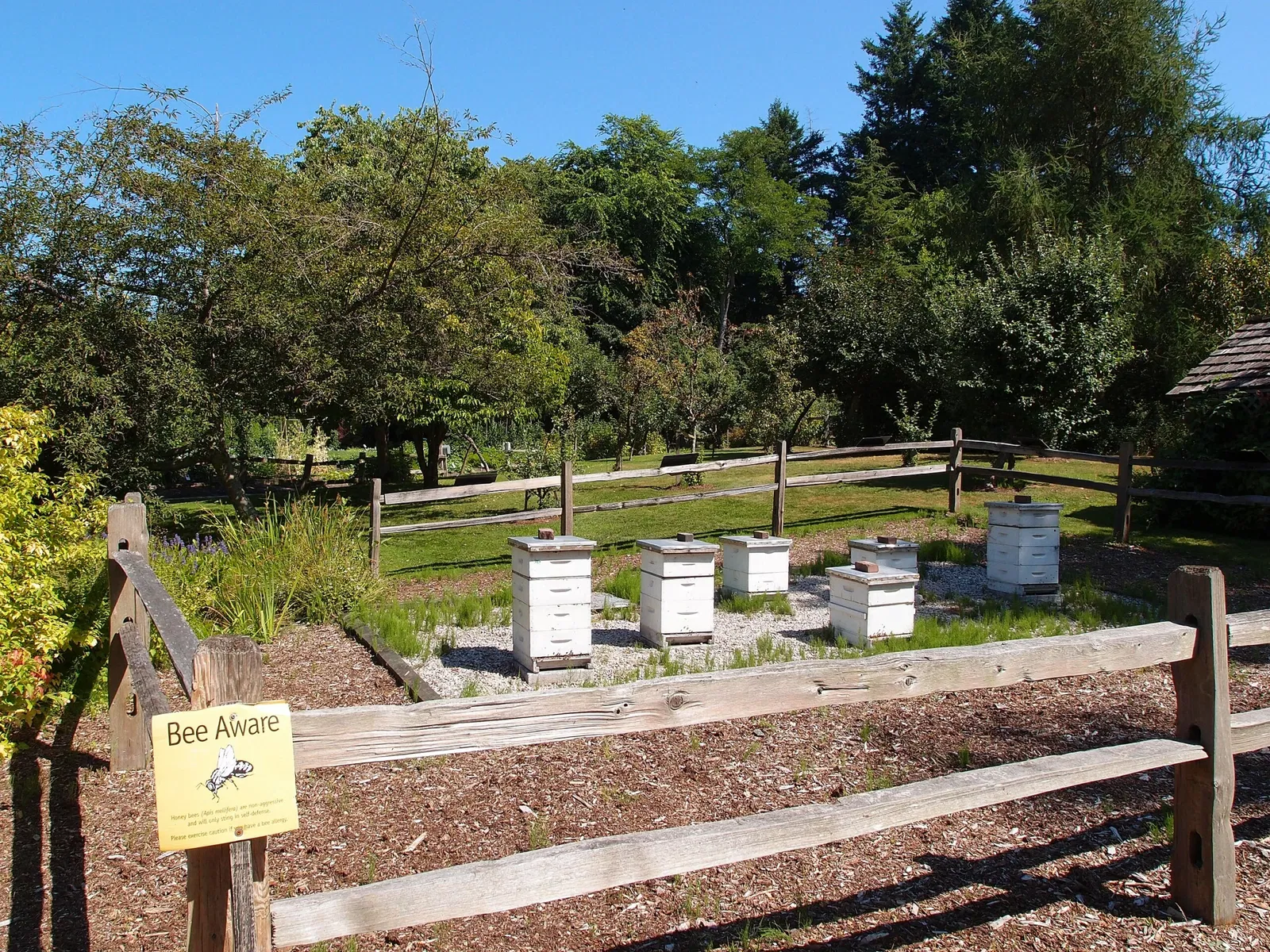 Beelden in de VanDusen Botanical Garden