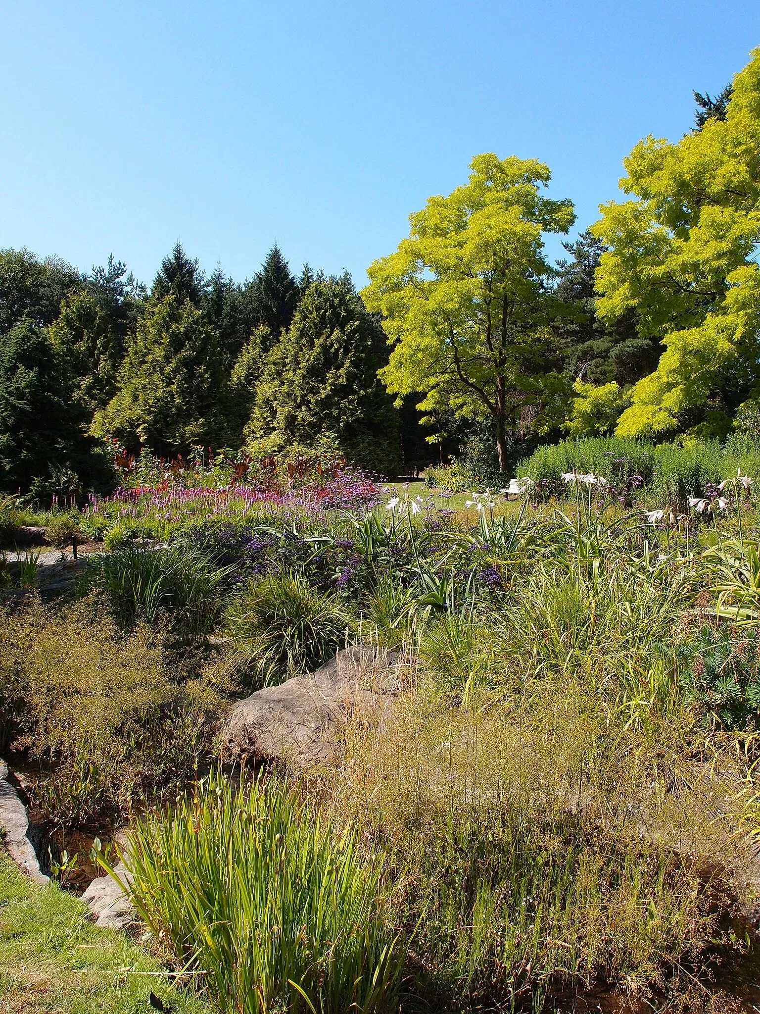 Beelden in de VanDusen Botanical Garden