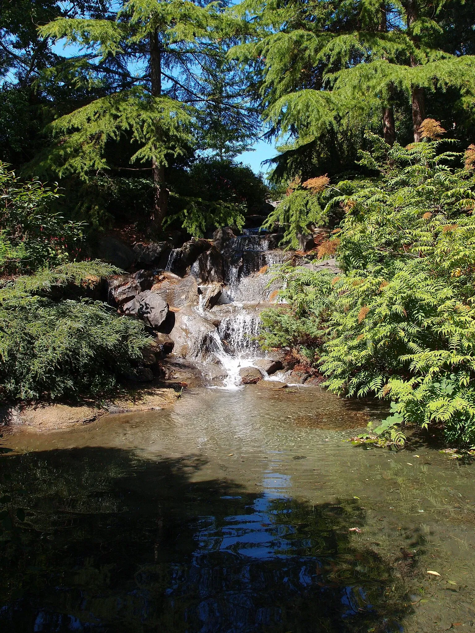 VanDusen Botanical Garden