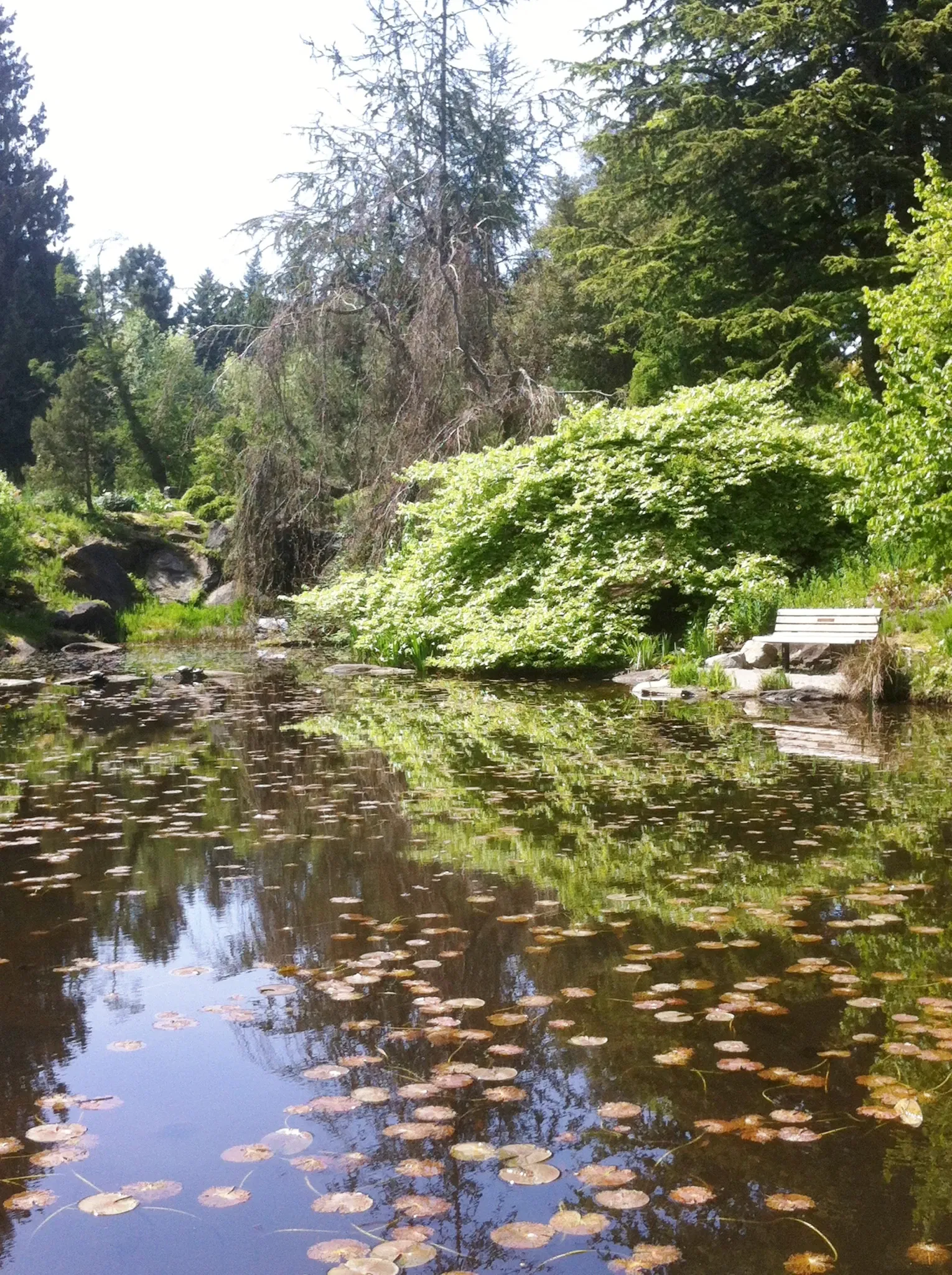 VanDusen Botanical Garden
