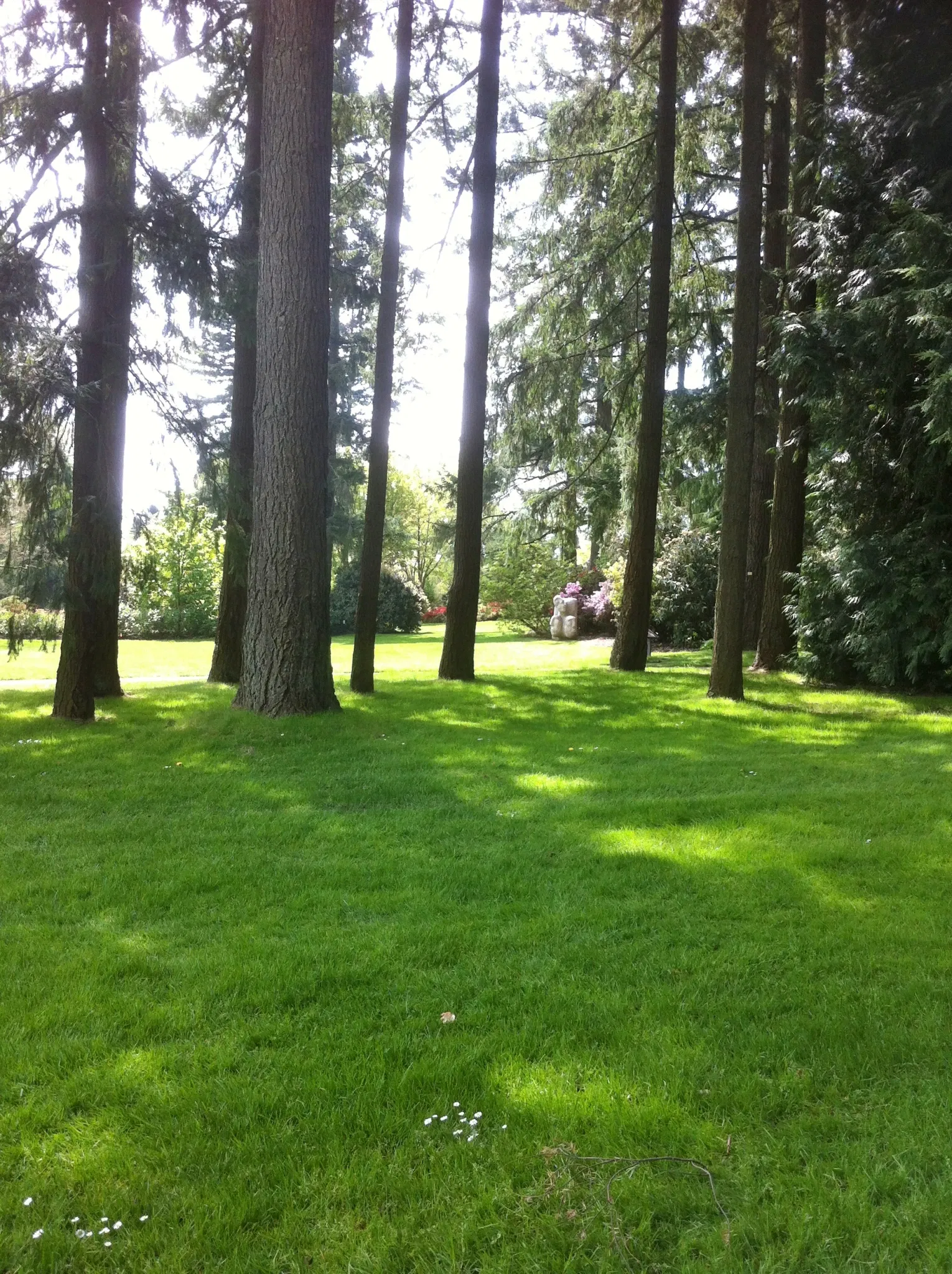 VanDusen Botanical Garden