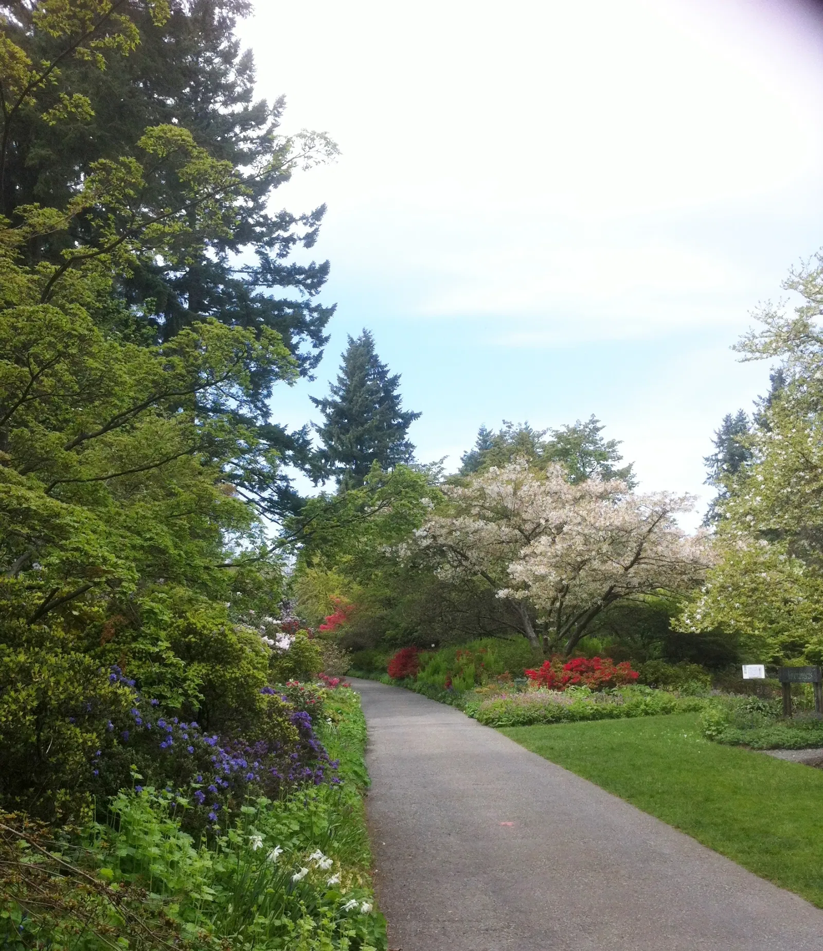 VanDusen Botanical Garden