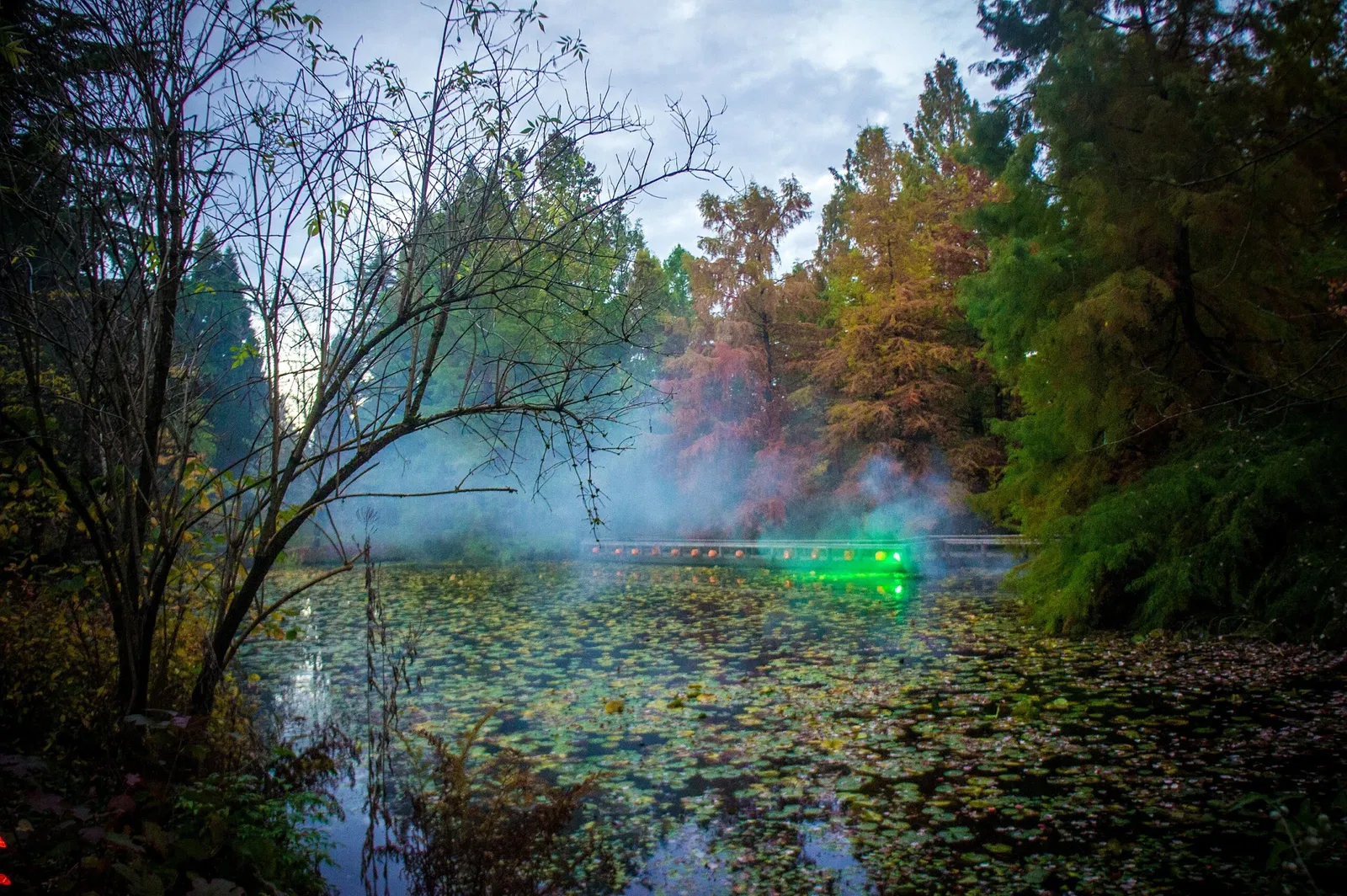 Beelden in de VanDusen Botanical Garden