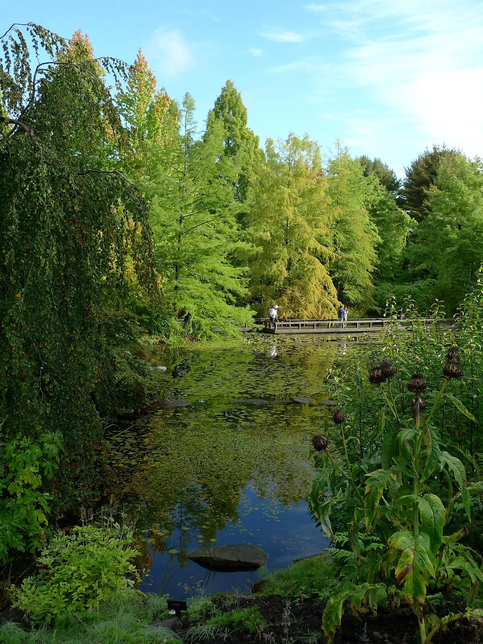 Beelden in de VanDusen Botanical Garden