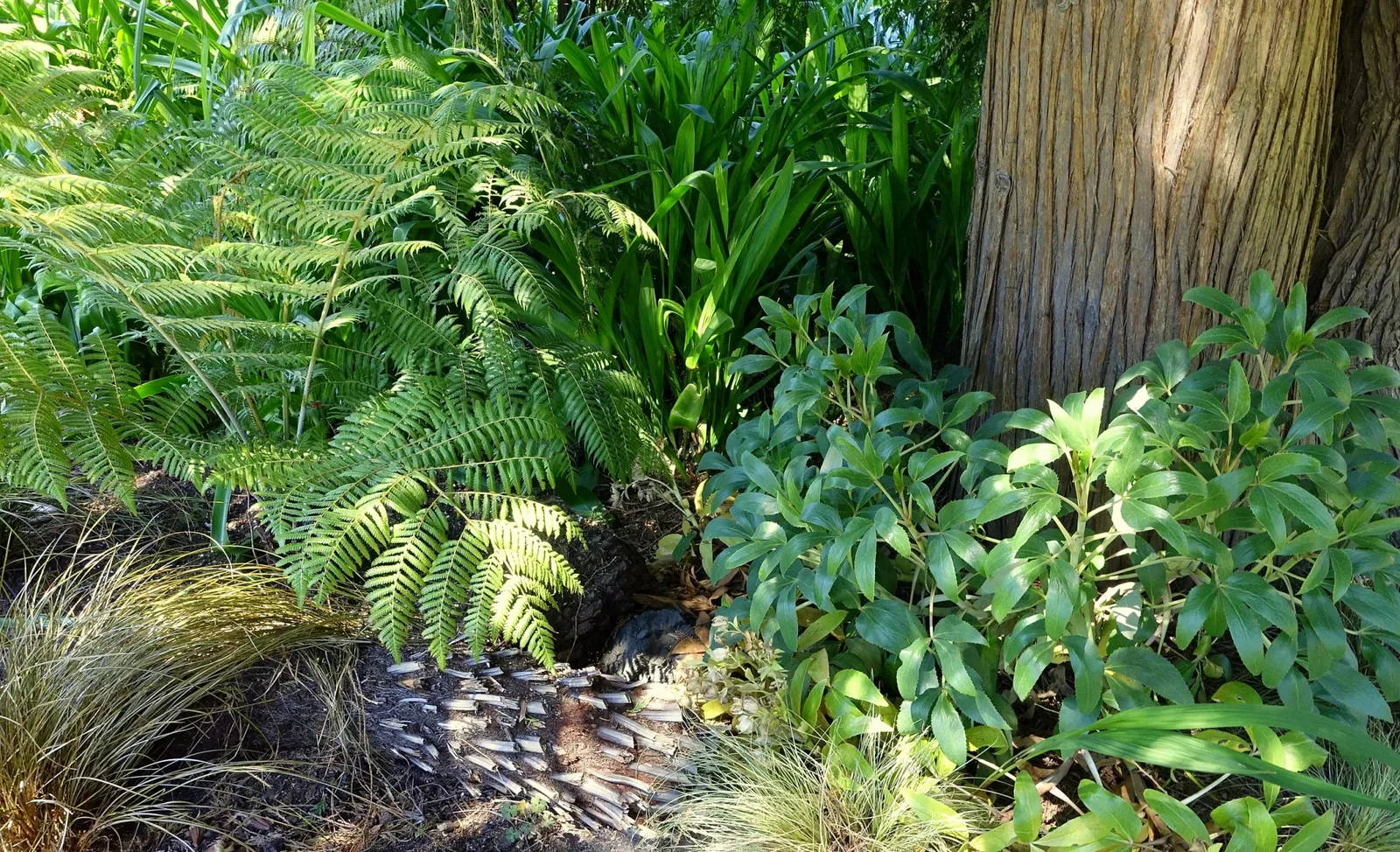 Beelden in de VanDusen Botanical Garden