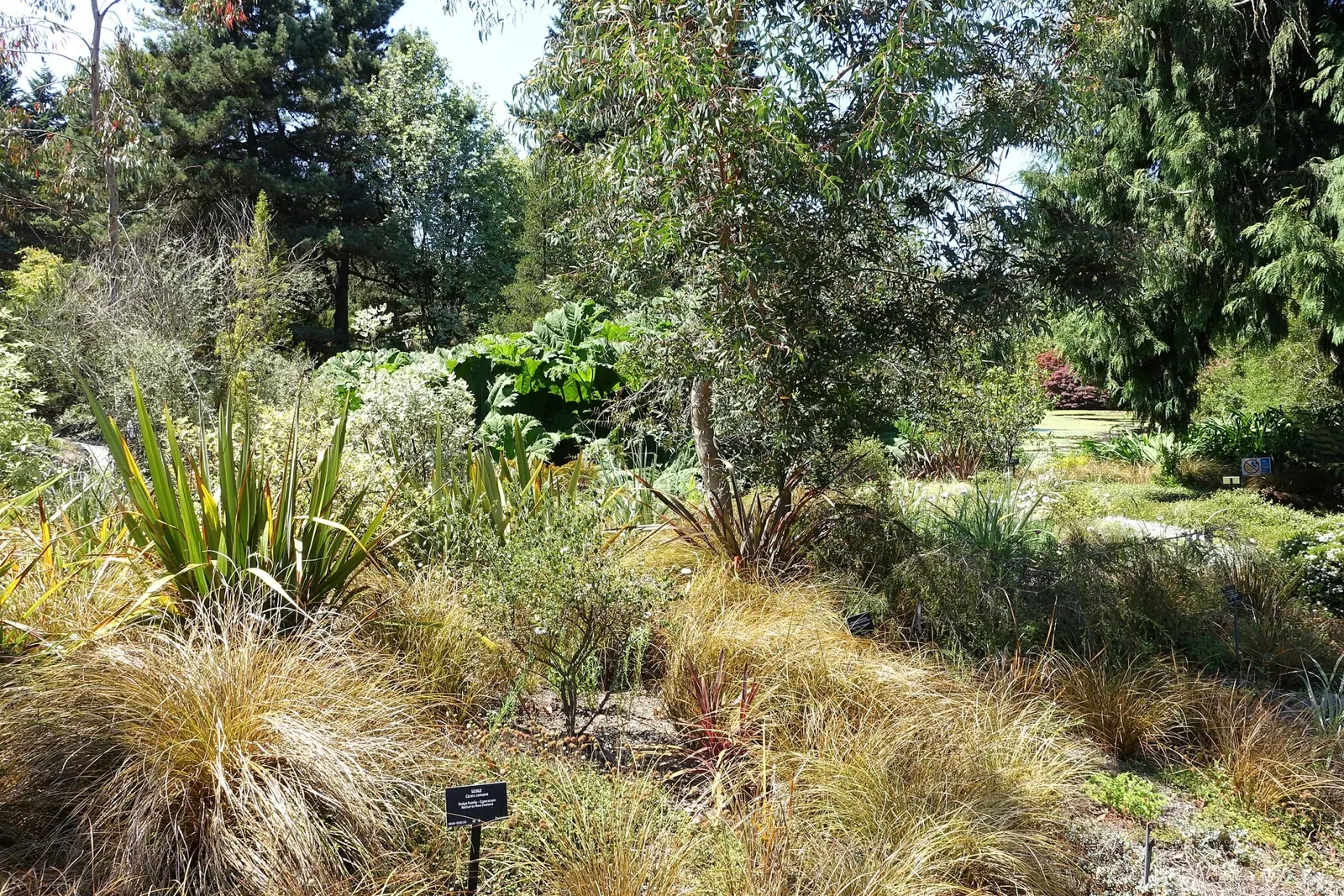 Beelden in de VanDusen Botanical Garden